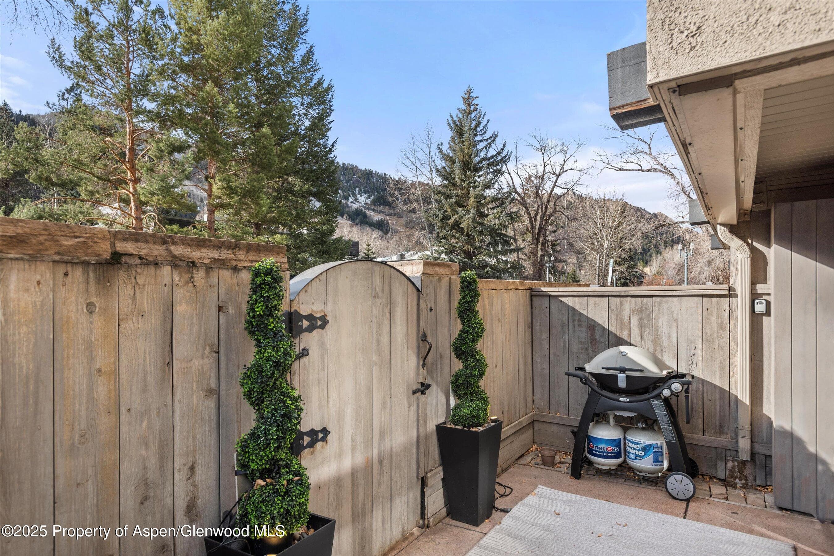 1024 E Cooper Avenue 1, Aspen, CO 81611 - Photo 23
