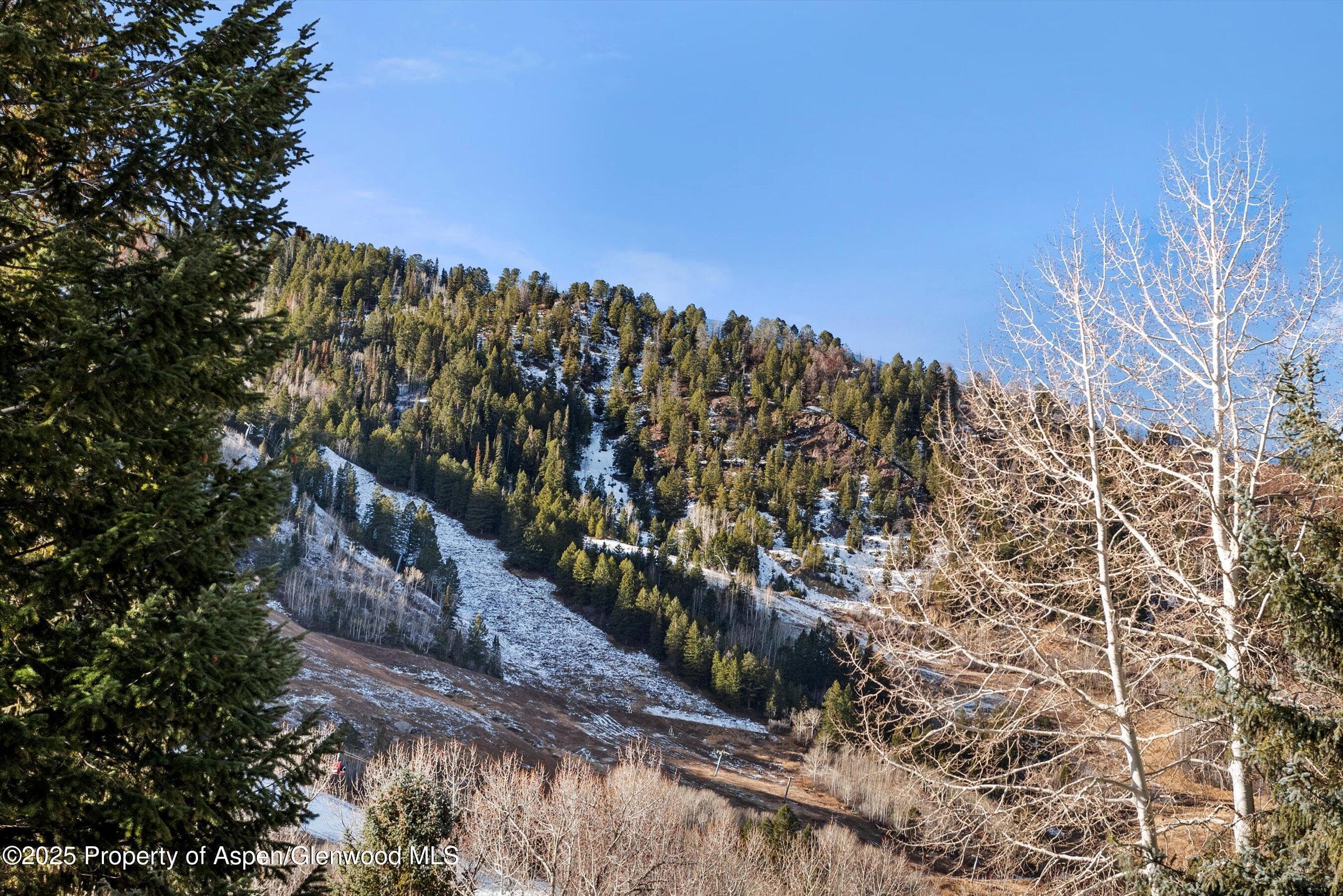1024 E Cooper Avenue 1, Aspen, CO 81611 - Photo 24