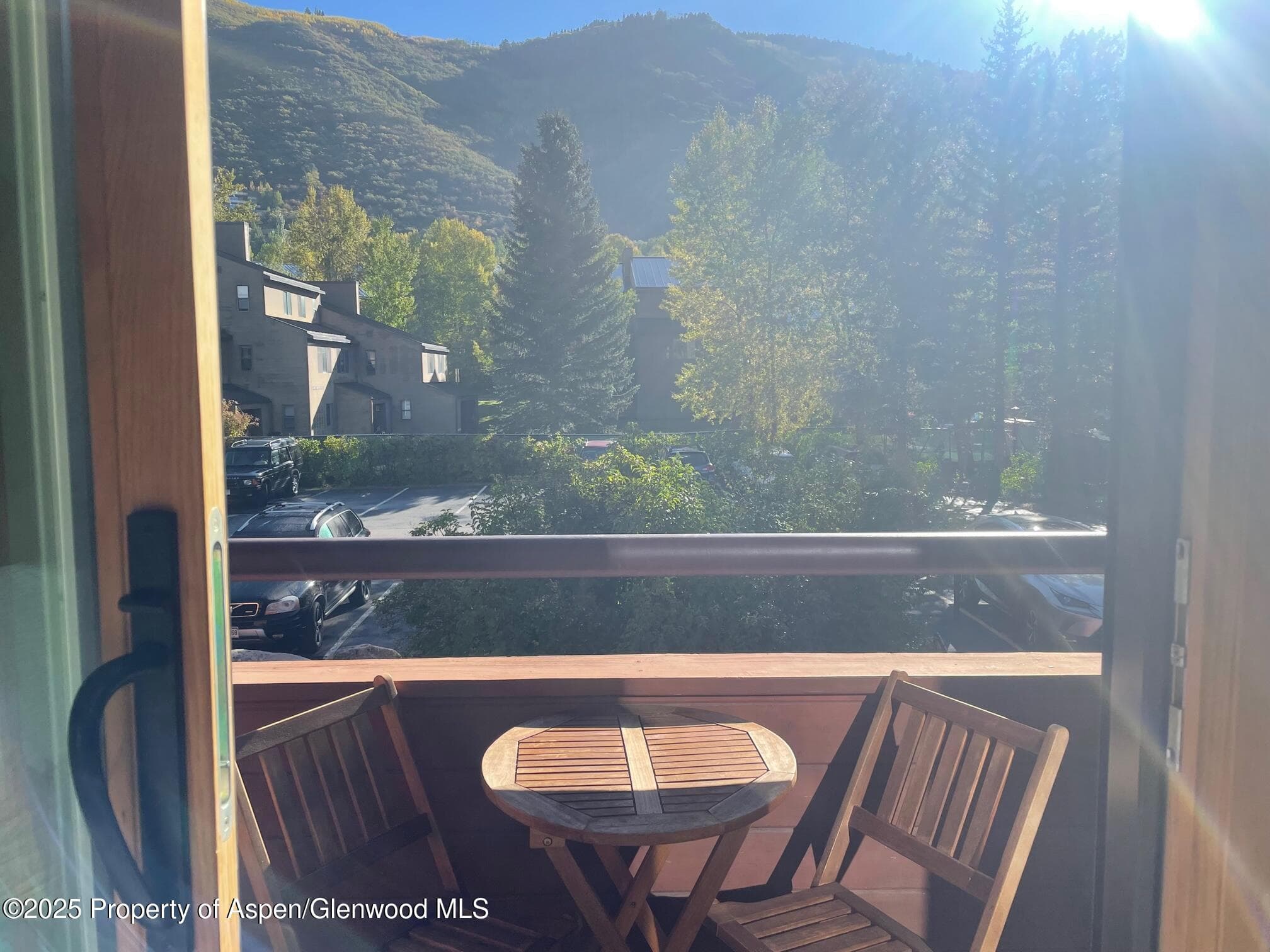 1136 Vine Street 1136, Aspen, CO 81611 - Photo 7