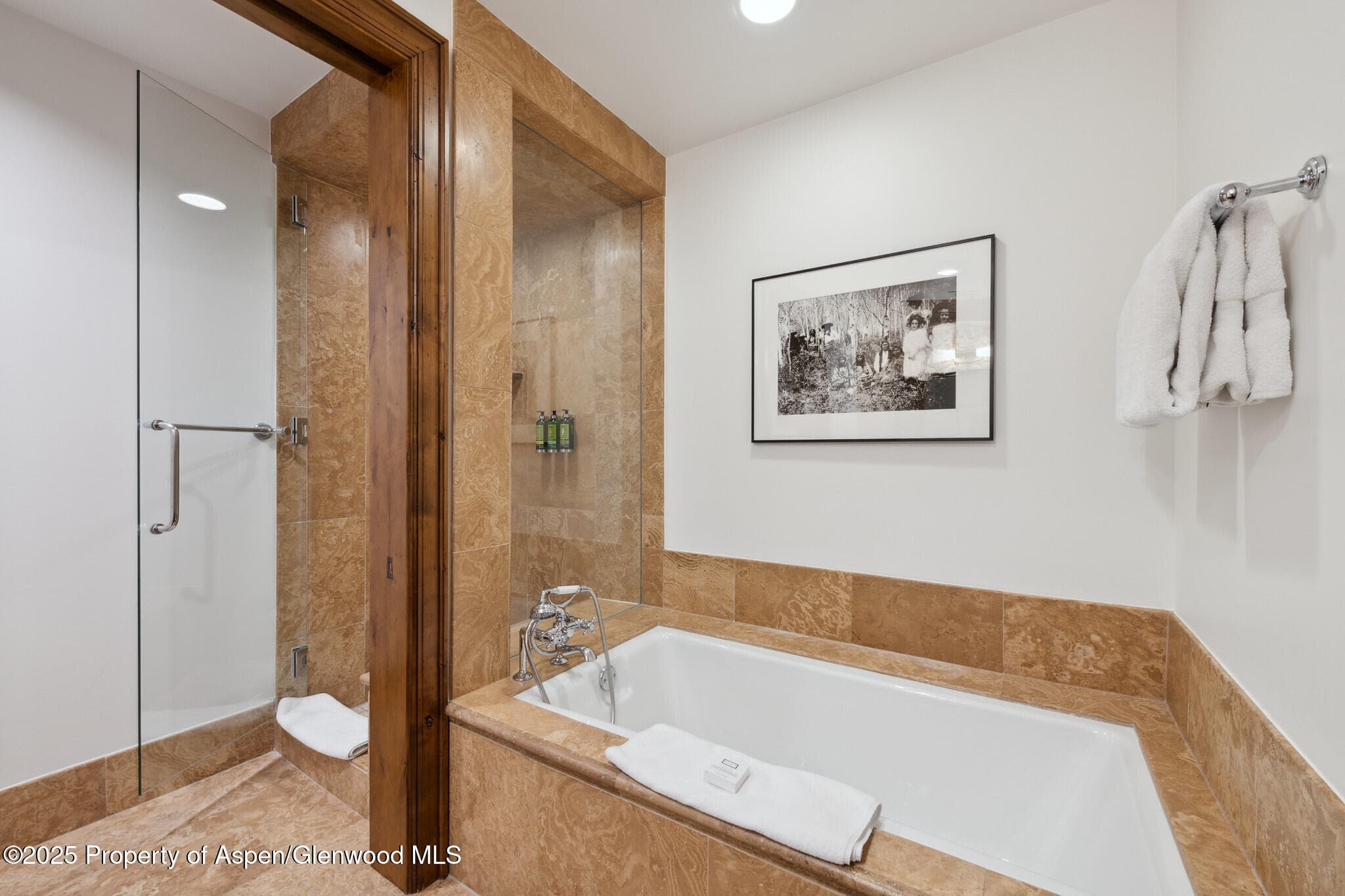 415 E Dean St., Unit 15, Week 33, Aspen, CO 81611 - Photo 24
