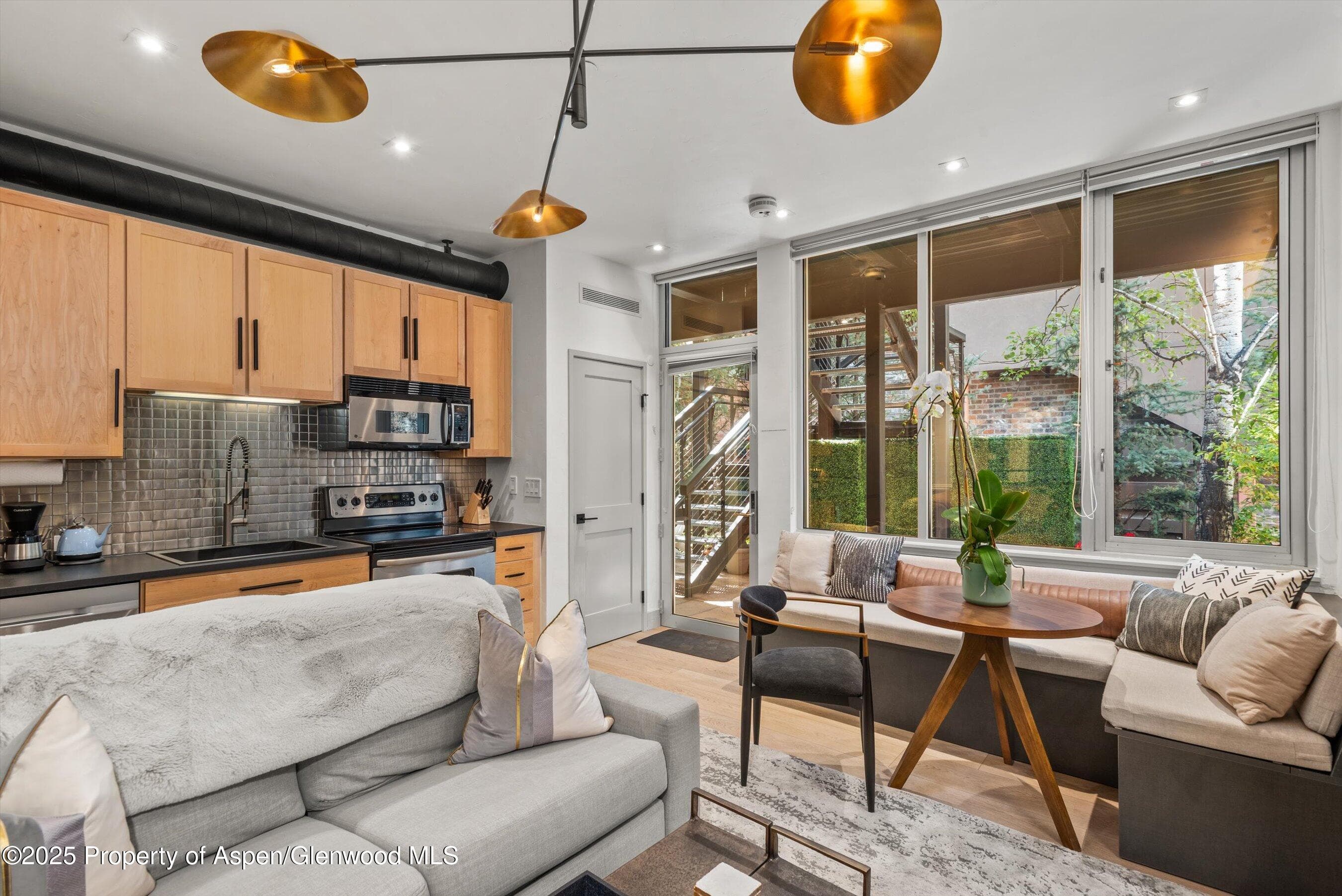 434 E Main Street 104, Aspen, CO 81611 - Photo 8