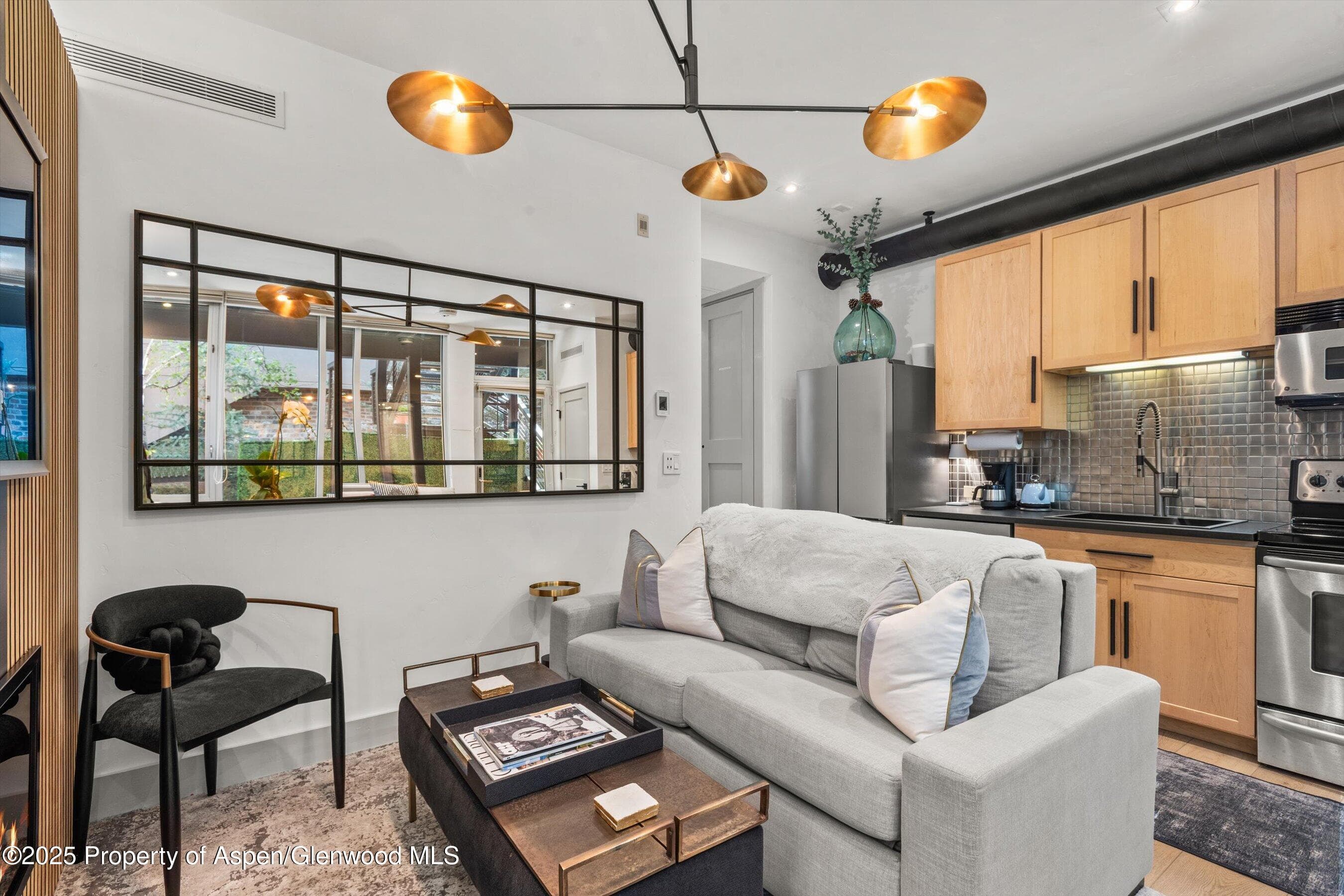 434 E Main Street 104, Aspen, CO 81611 - Photo 6