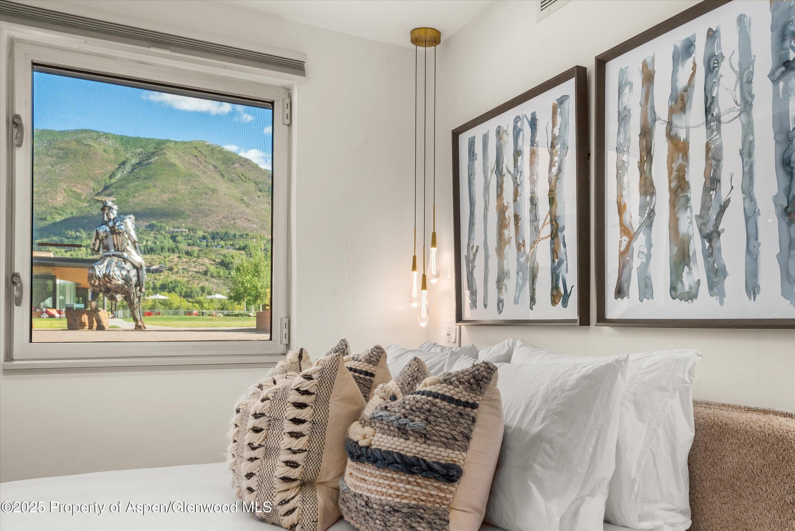 434 E Main Street 104, Aspen, CO 81611 - Photo 13