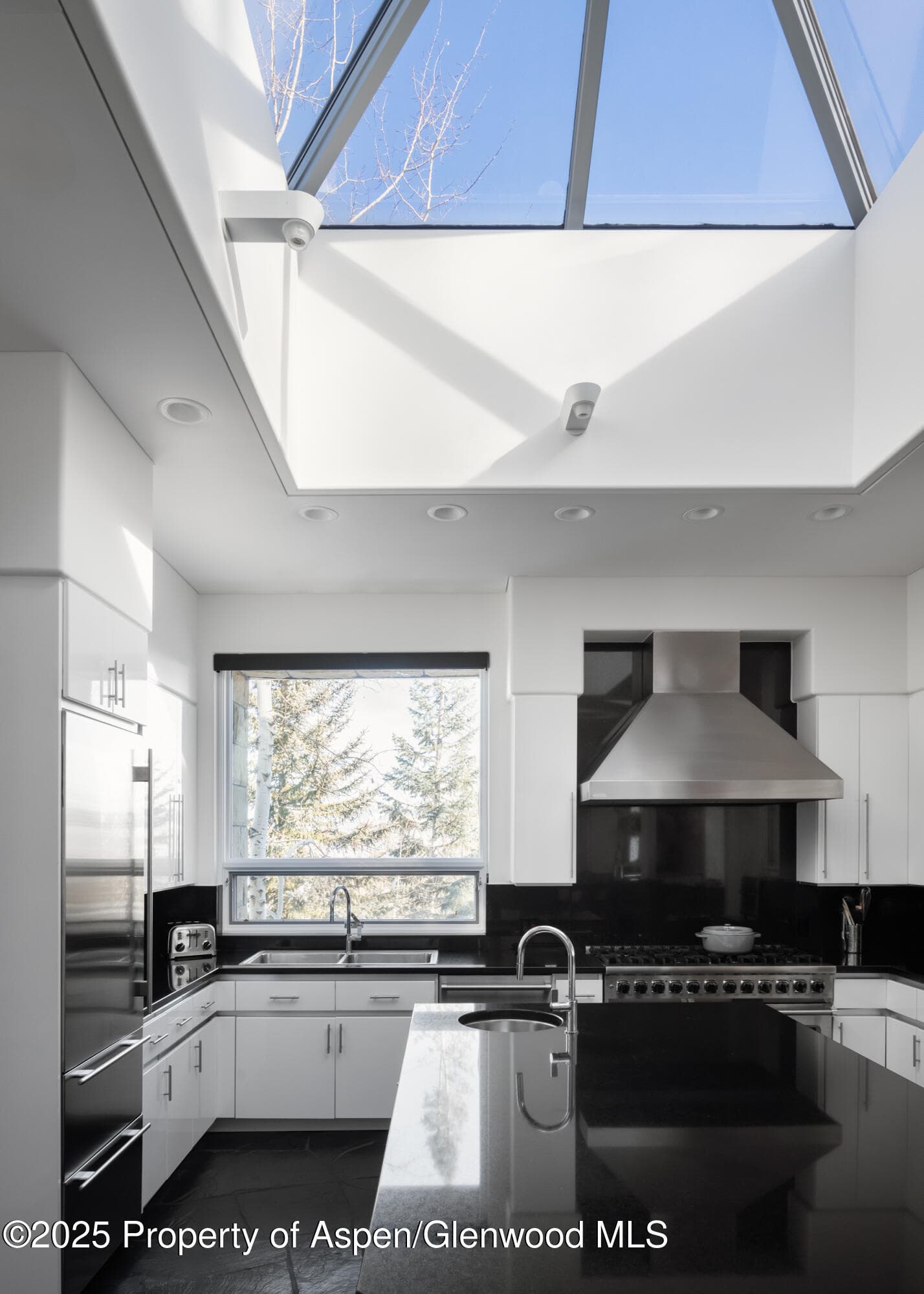 189 Aspen Way, Snowmass Village, CO 81615 - Photo 11