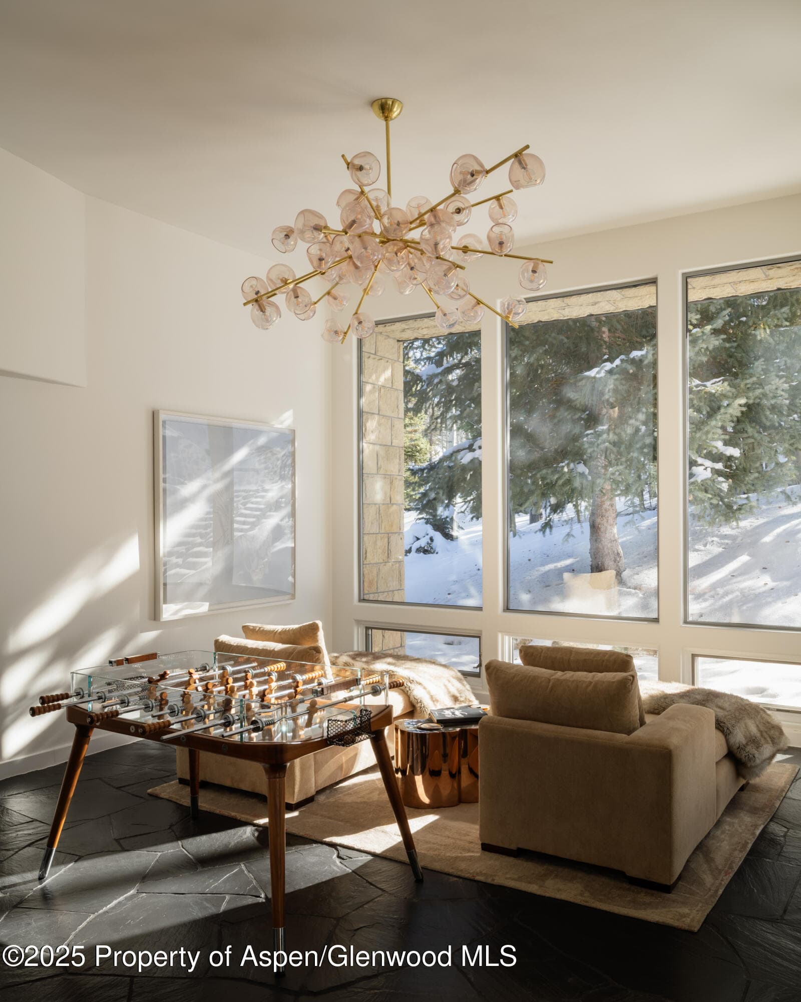 189 Aspen Way, Snowmass Village, CO 81615 - Photo 9