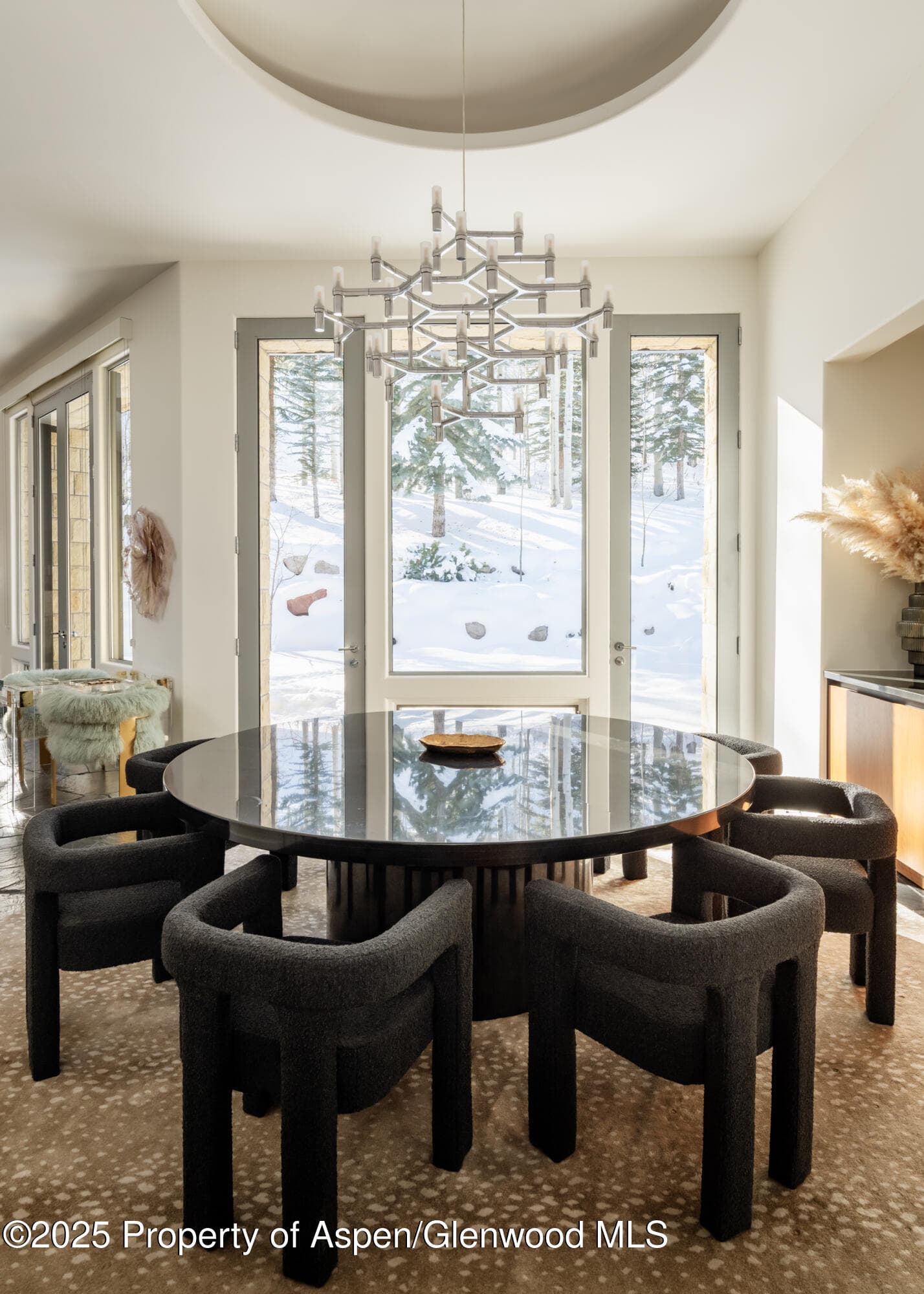 189 Aspen Way, Snowmass Village, CO 81615 - Photo 10