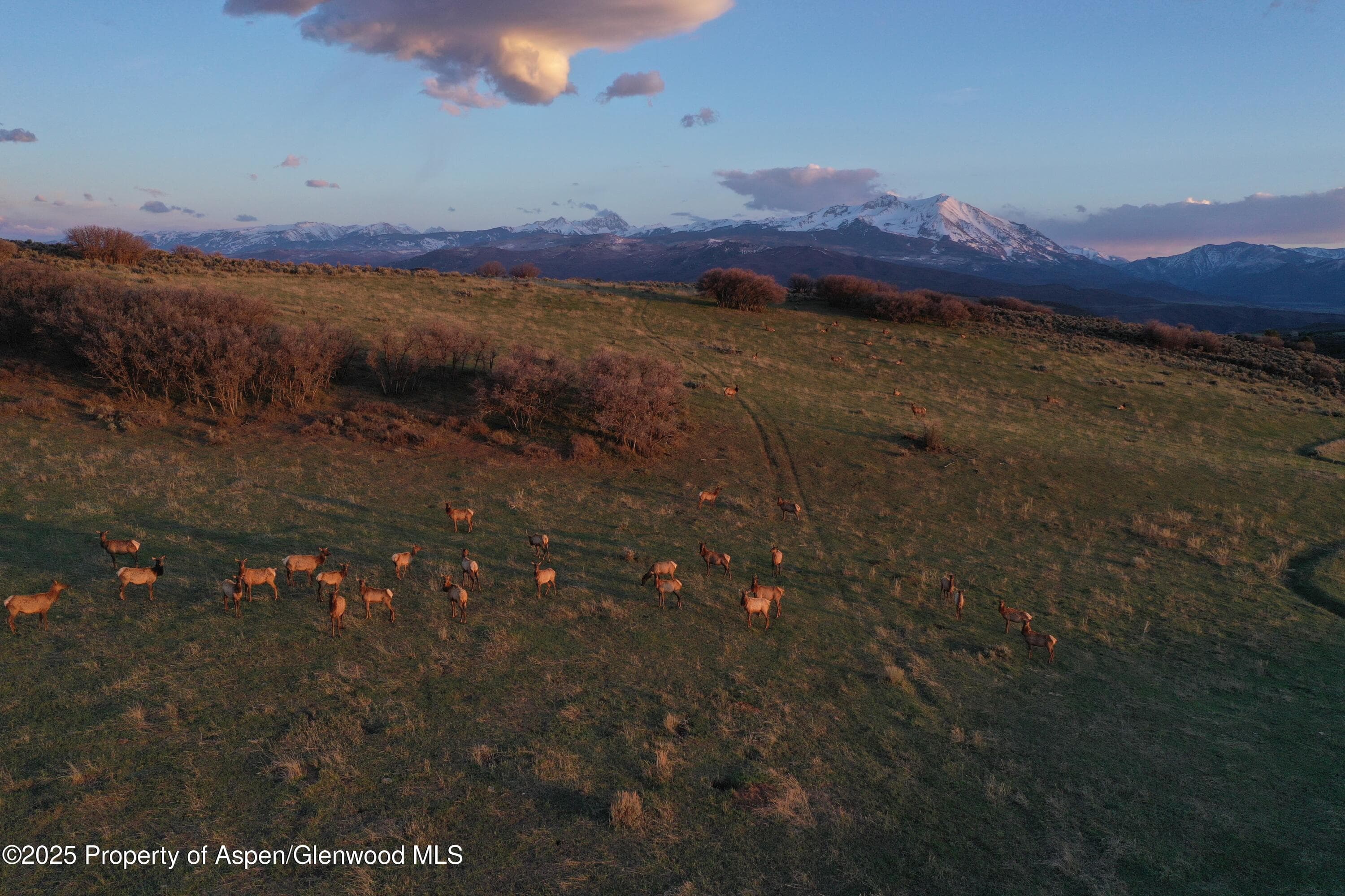 TBD County Road 100, Carbondale, CO 81623 - Photo 4