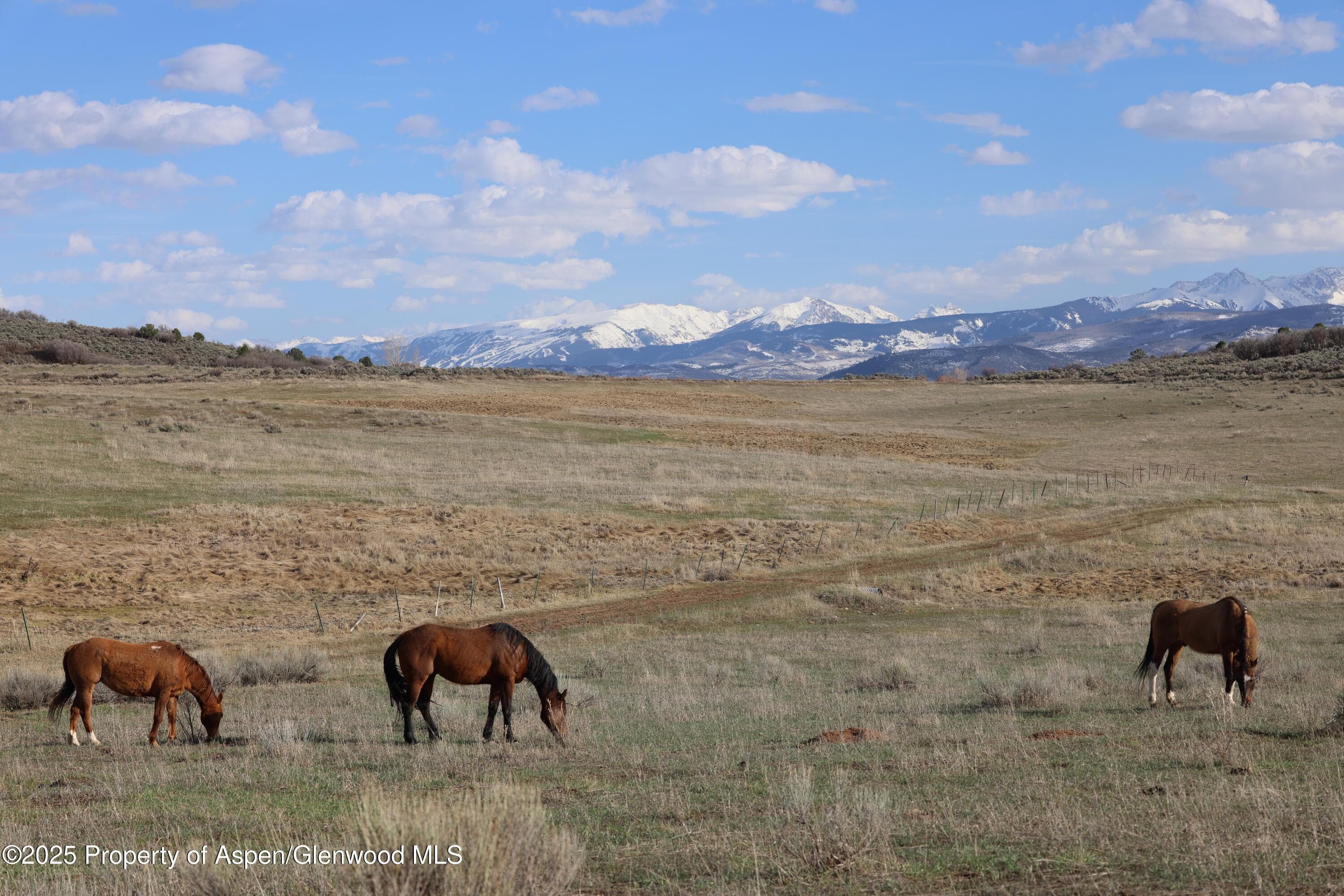 TBD County Road 100, Carbondale, CO 81623 - Photo 7