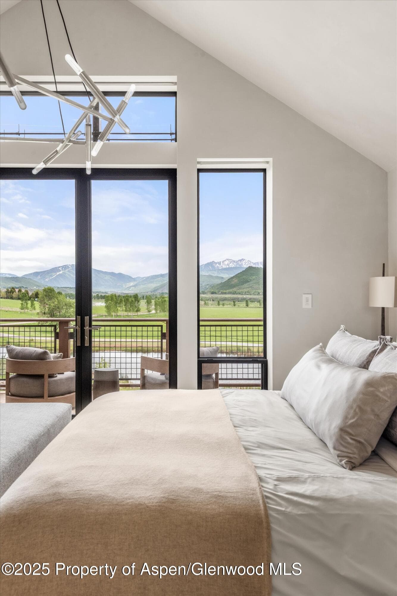 31 E Bourg Trail, Woody Creek, CO 81656 - Photo 19