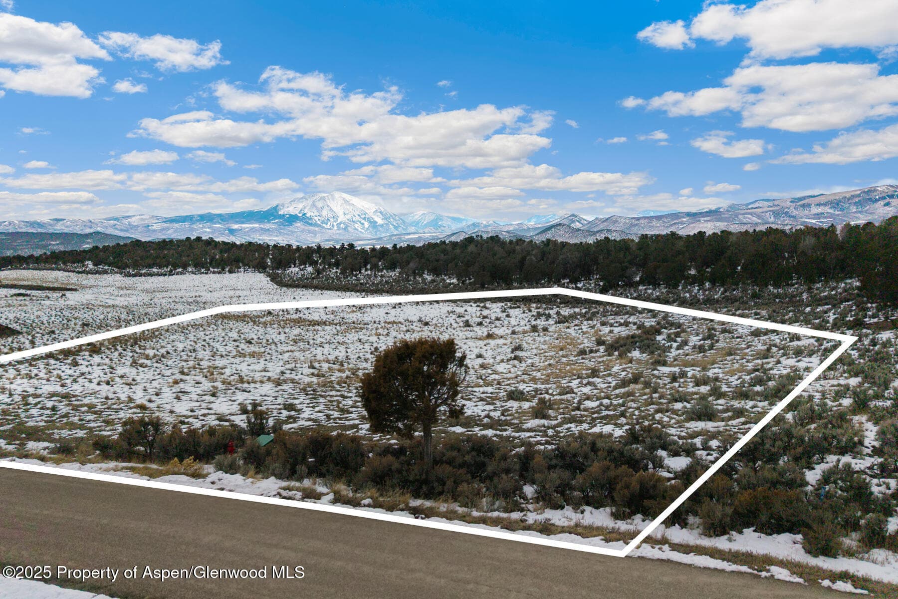 3408 Elk Springs Drive, Glenwood Springs, CO 81601 - Photo 5