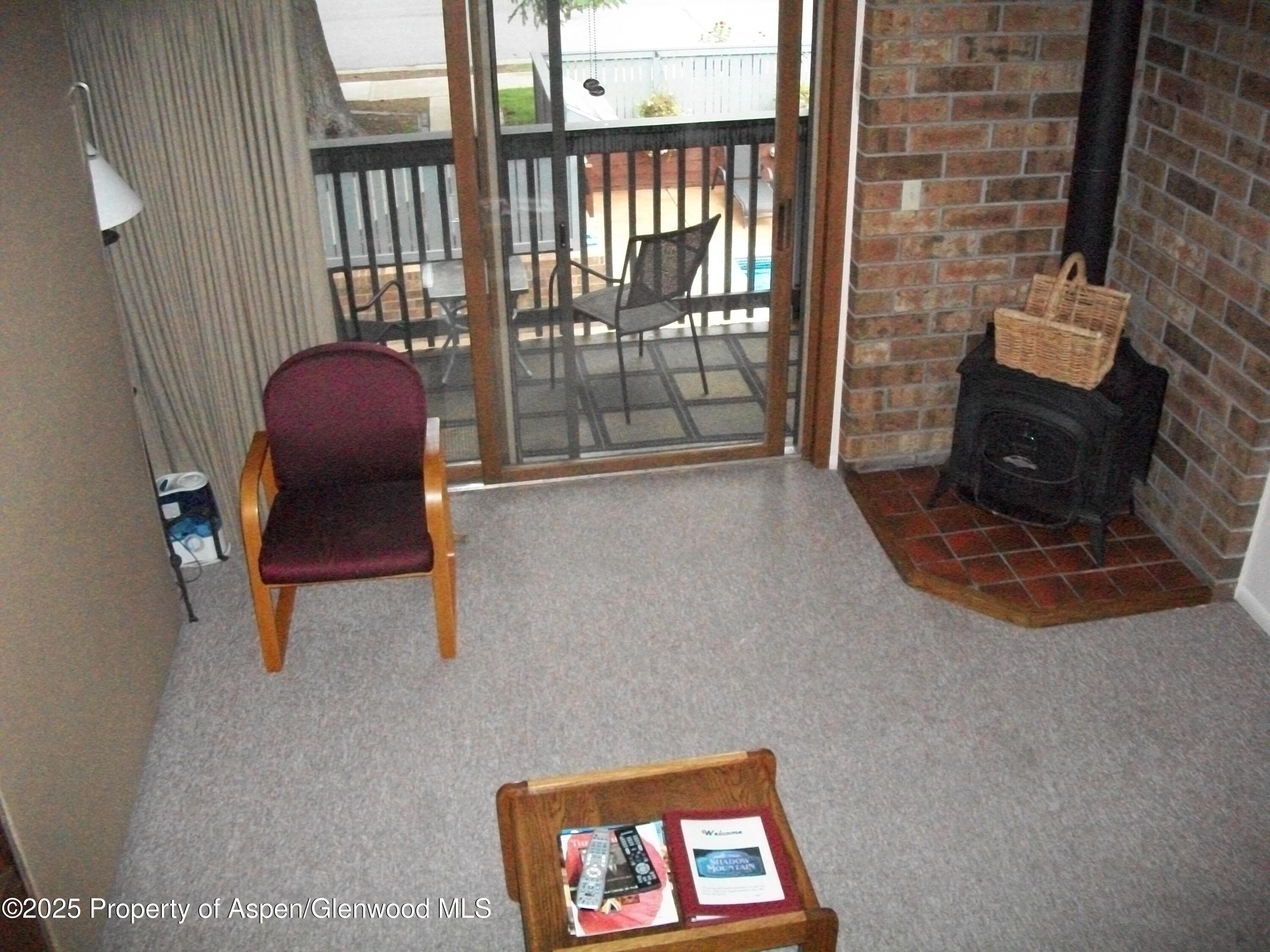 232 W Hyman Avenue #4 (wks 10,20) and #8 (wk 43), Aspen, CO 81611 - Photo 5