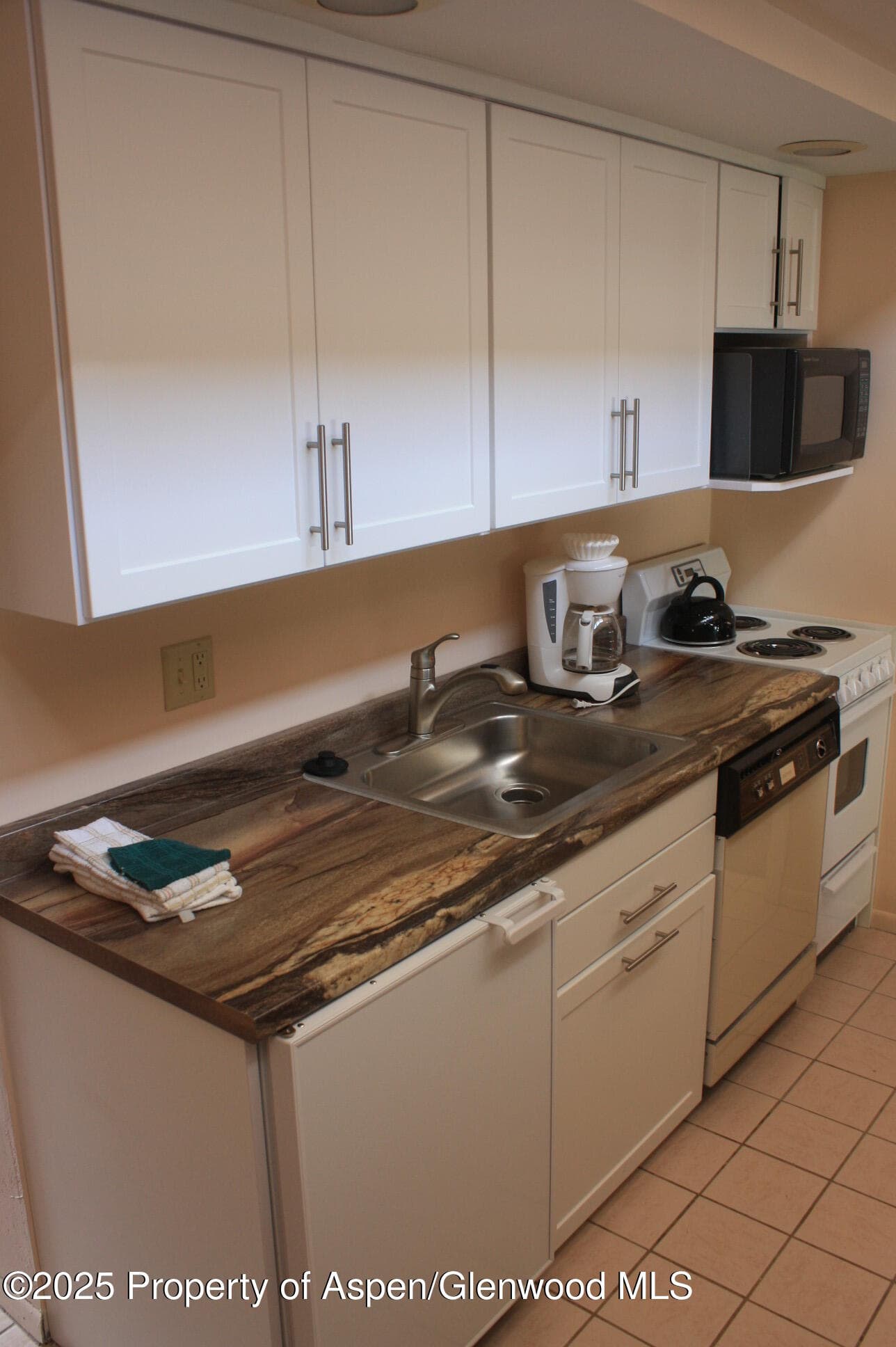 232 W Hyman Avenue #4 (wks 10,20) and #8 (wk 43), Aspen, CO 81611 - Photo 6