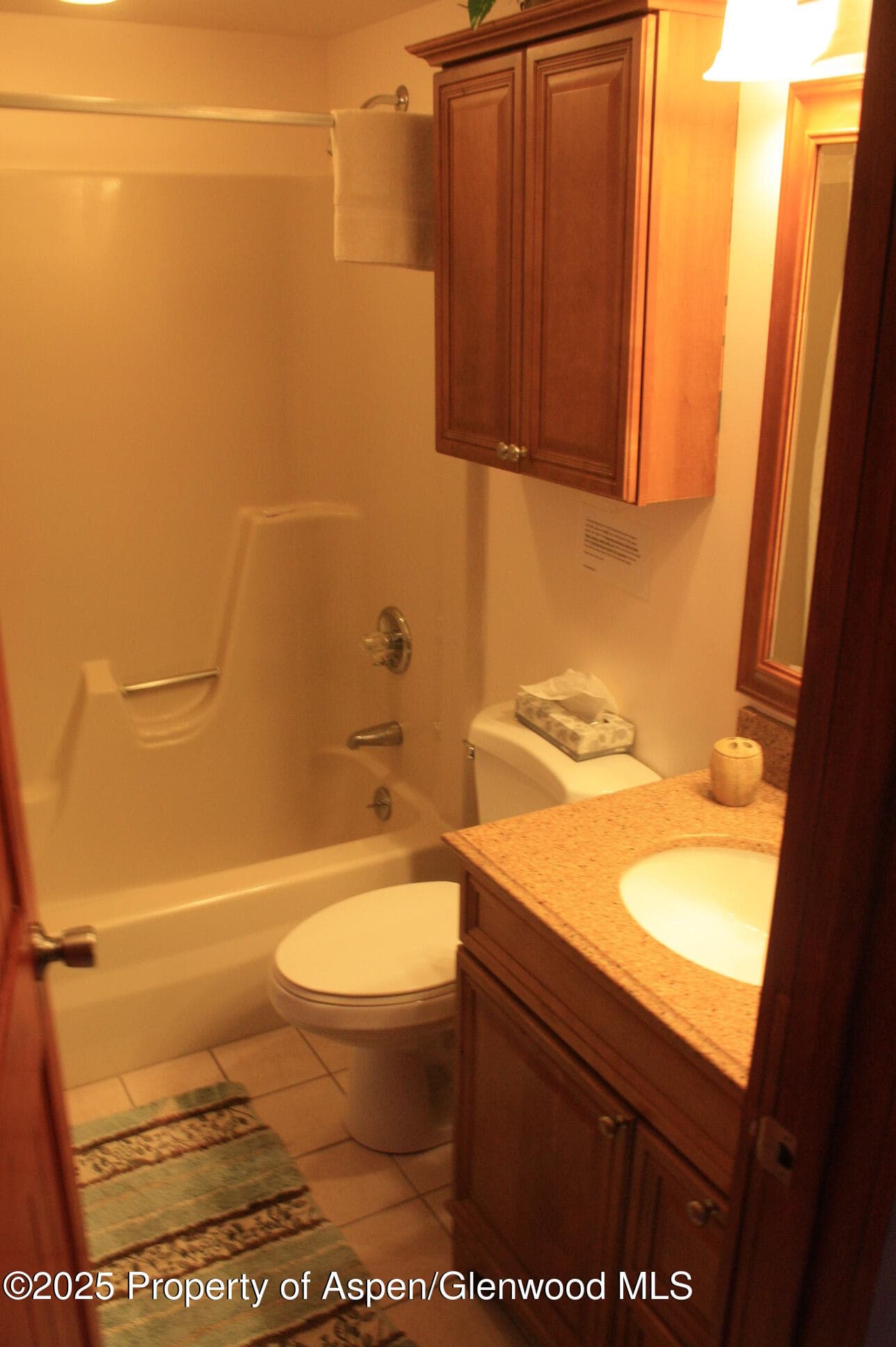 232 W Hyman Avenue #4 (wks 10,20) and #8 (wk 43), Aspen, CO 81611 - Photo 8