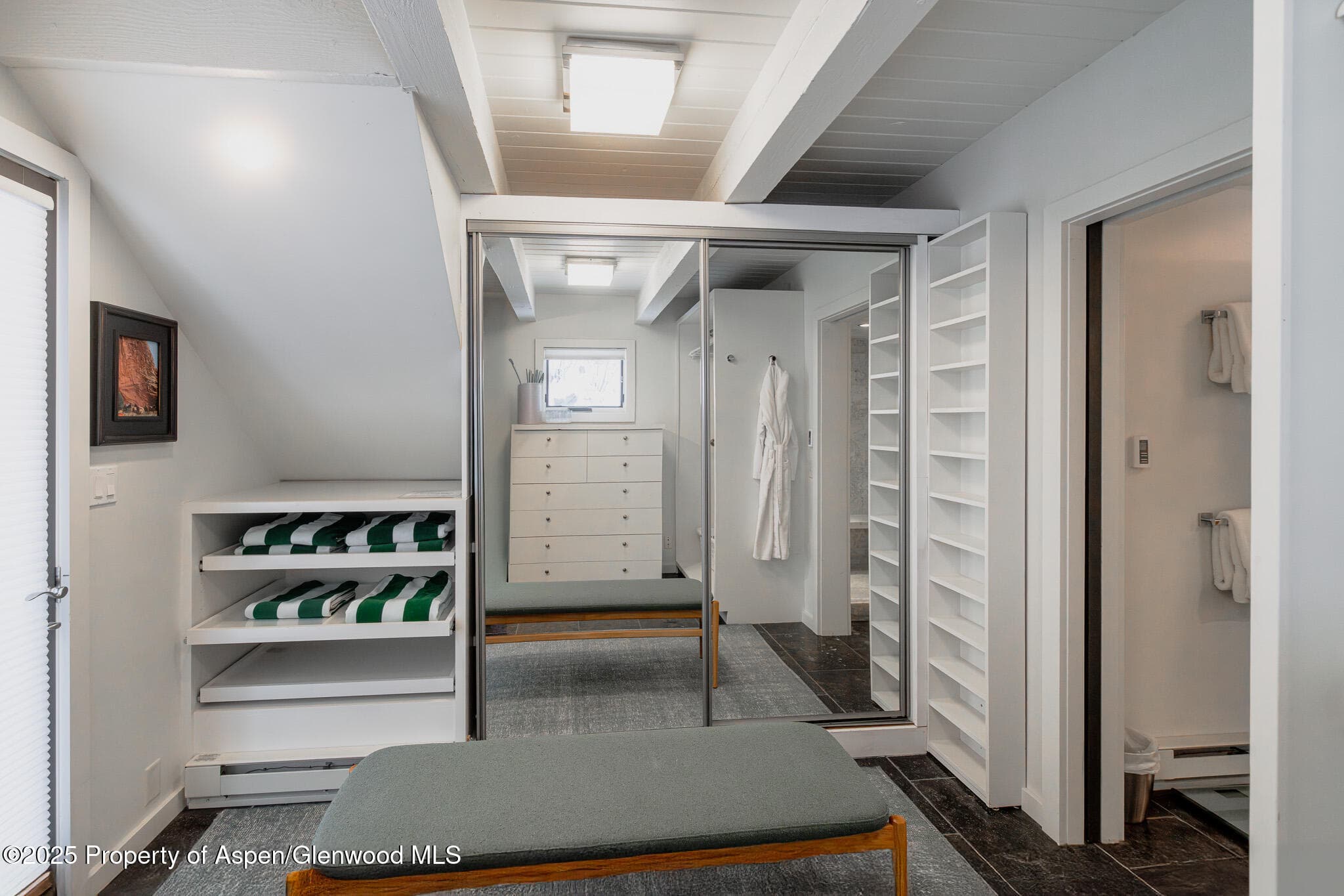 100 Mountain Laurel Court, Aspen, CO 81611 - Photo 9