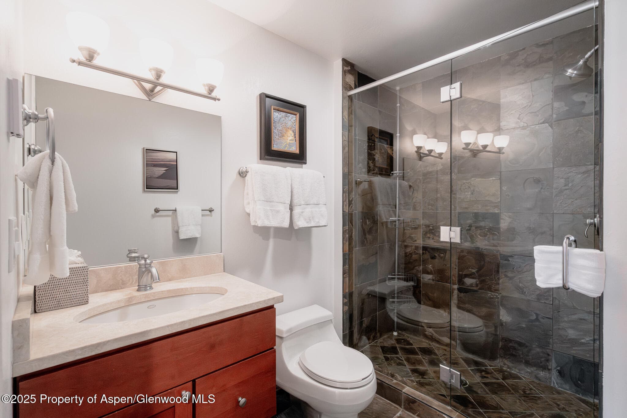 100 Mountain Laurel Court, Aspen, CO 81611 - Photo 16