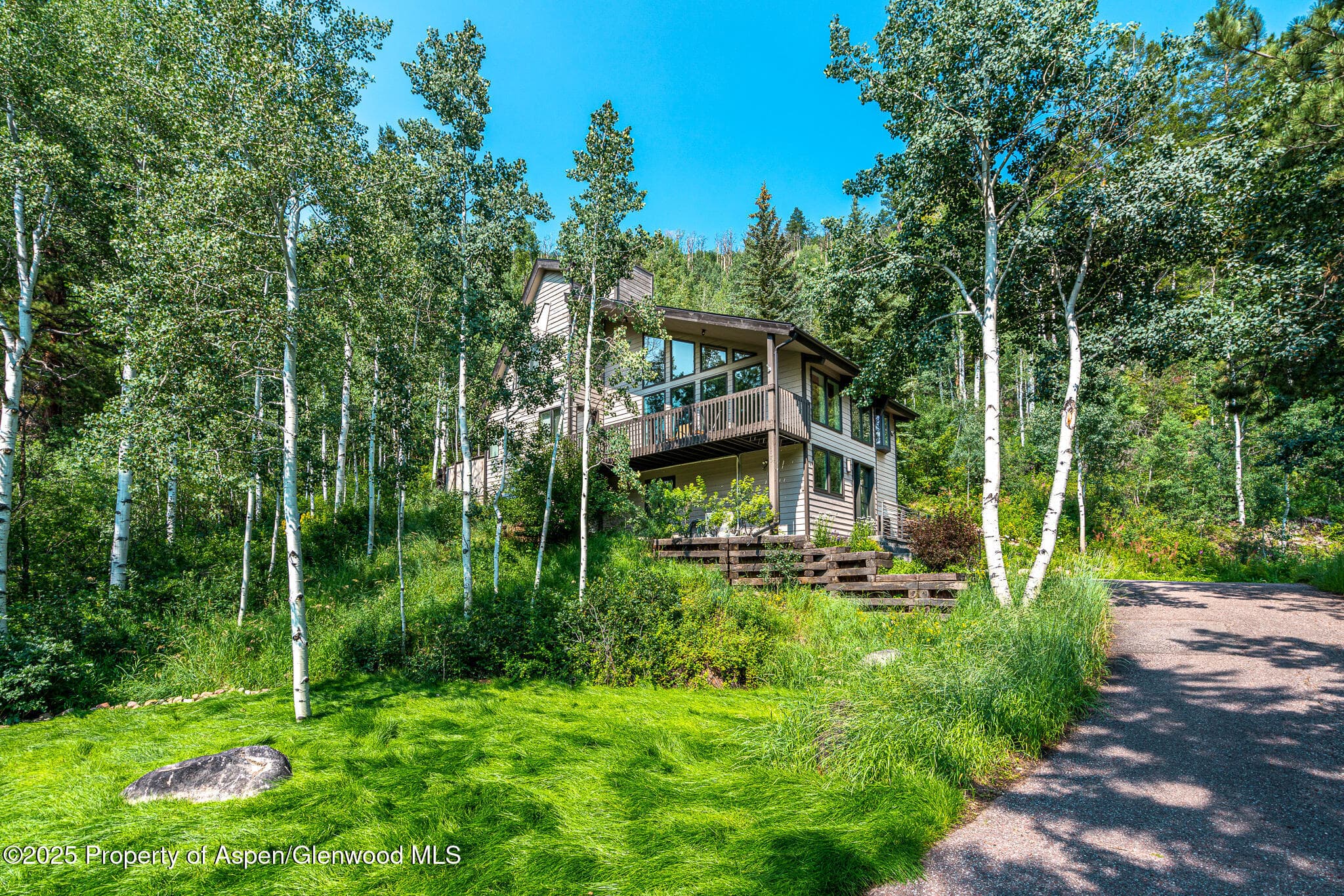 100 Mountain Laurel Court, Aspen, CO 81611 - Photo 17