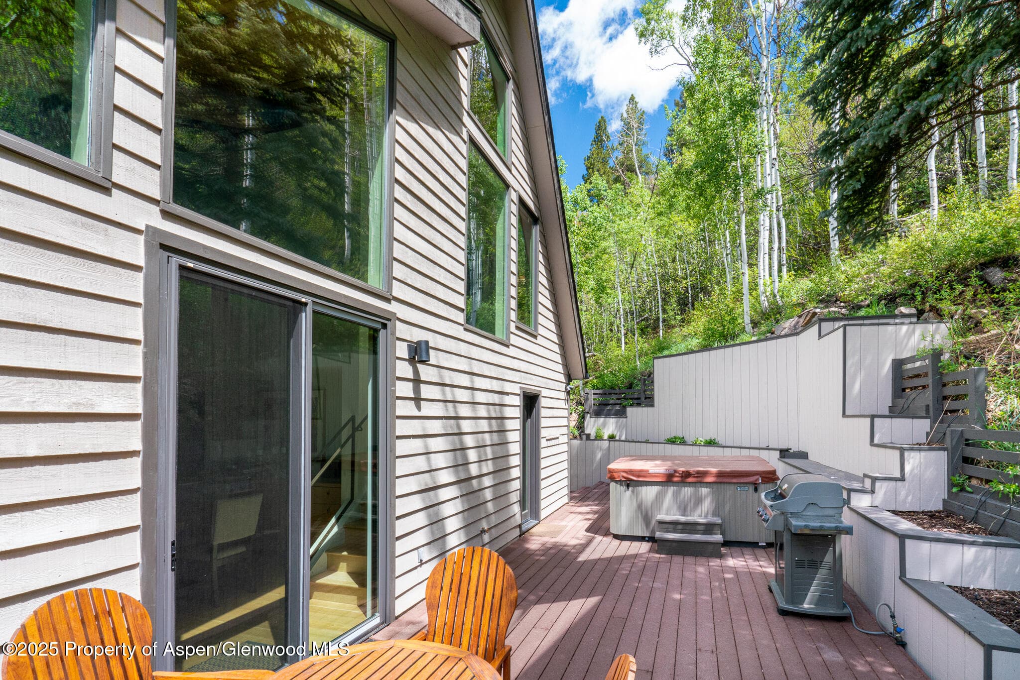 100 Mountain Laurel Court, Aspen, CO 81611 - Photo 18