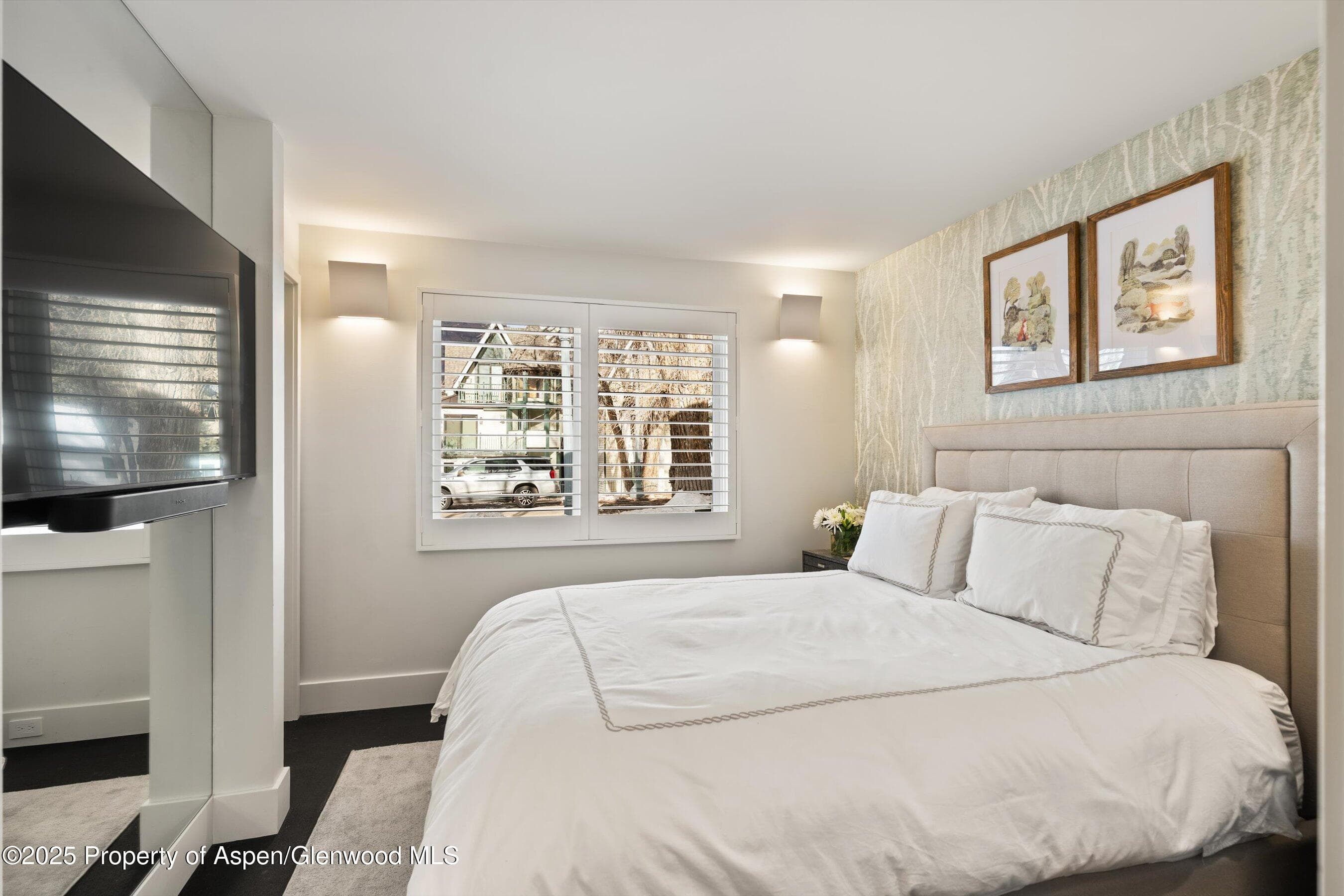 1001 E Cooper Avenue 2, Aspen, CO 81611 - Photo 13