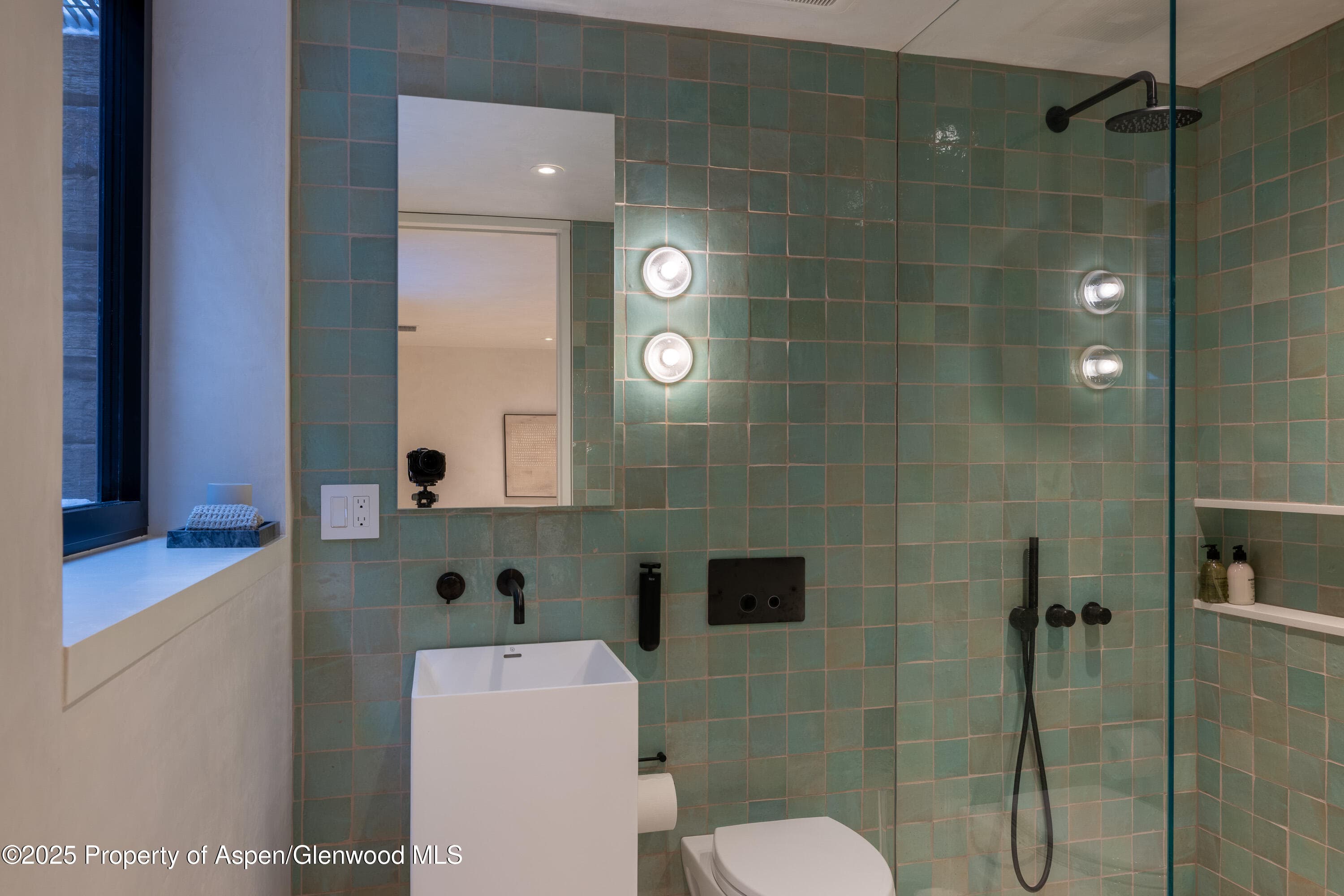 609 W Francis Street, Aspen, CO 81611 - Photo 35