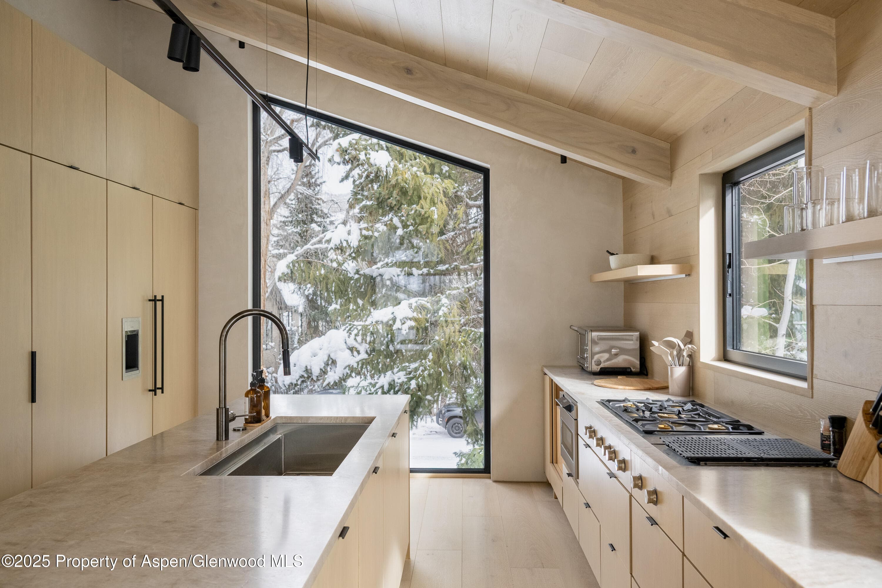609 W Francis Street, Aspen, CO 81611 - Photo 11
