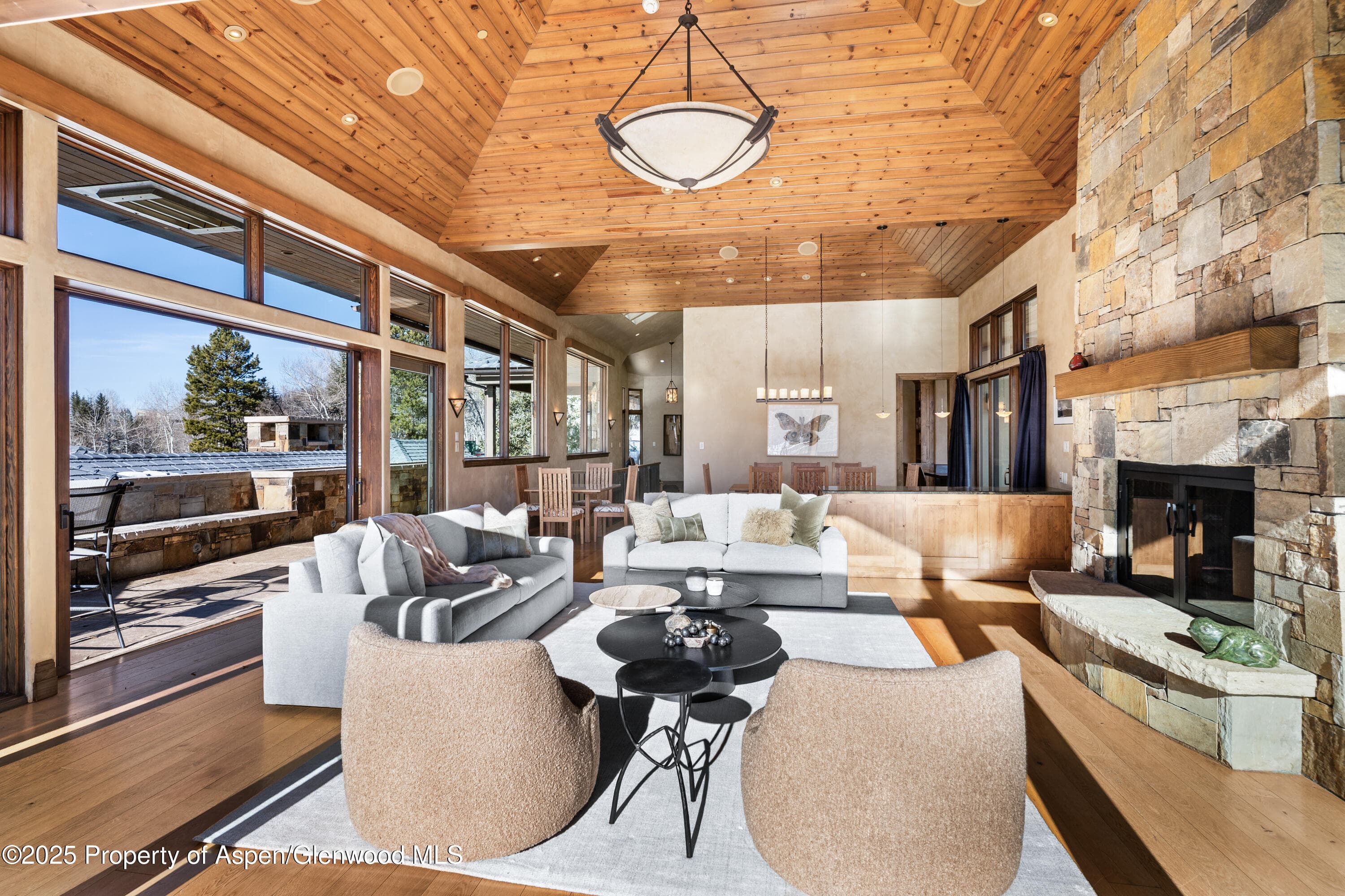 96 Mountain Laurel Court A, Aspen, CO 81611 - Photo 4