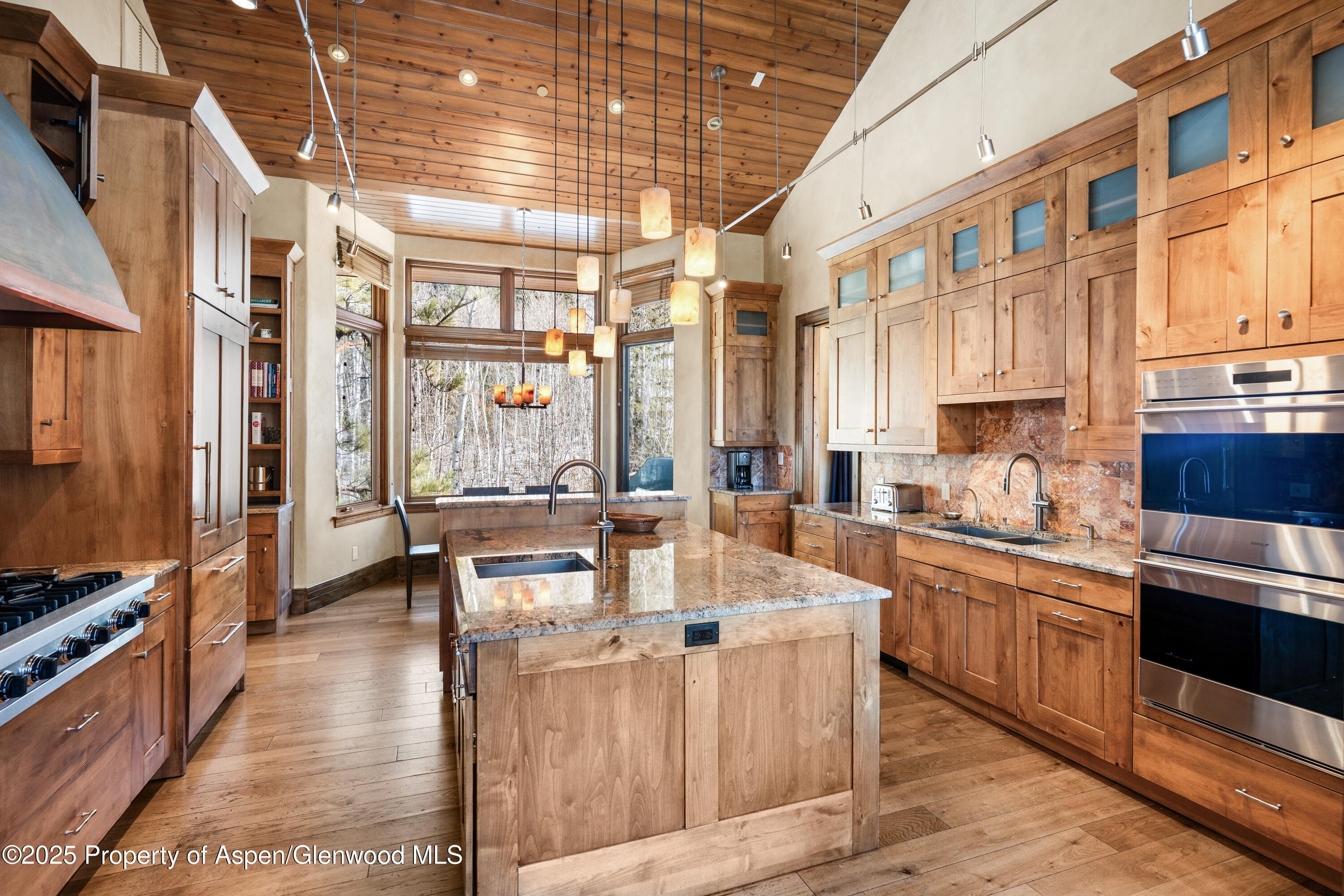 96 Mountain Laurel Court A, Aspen, CO 81611 - Photo 9