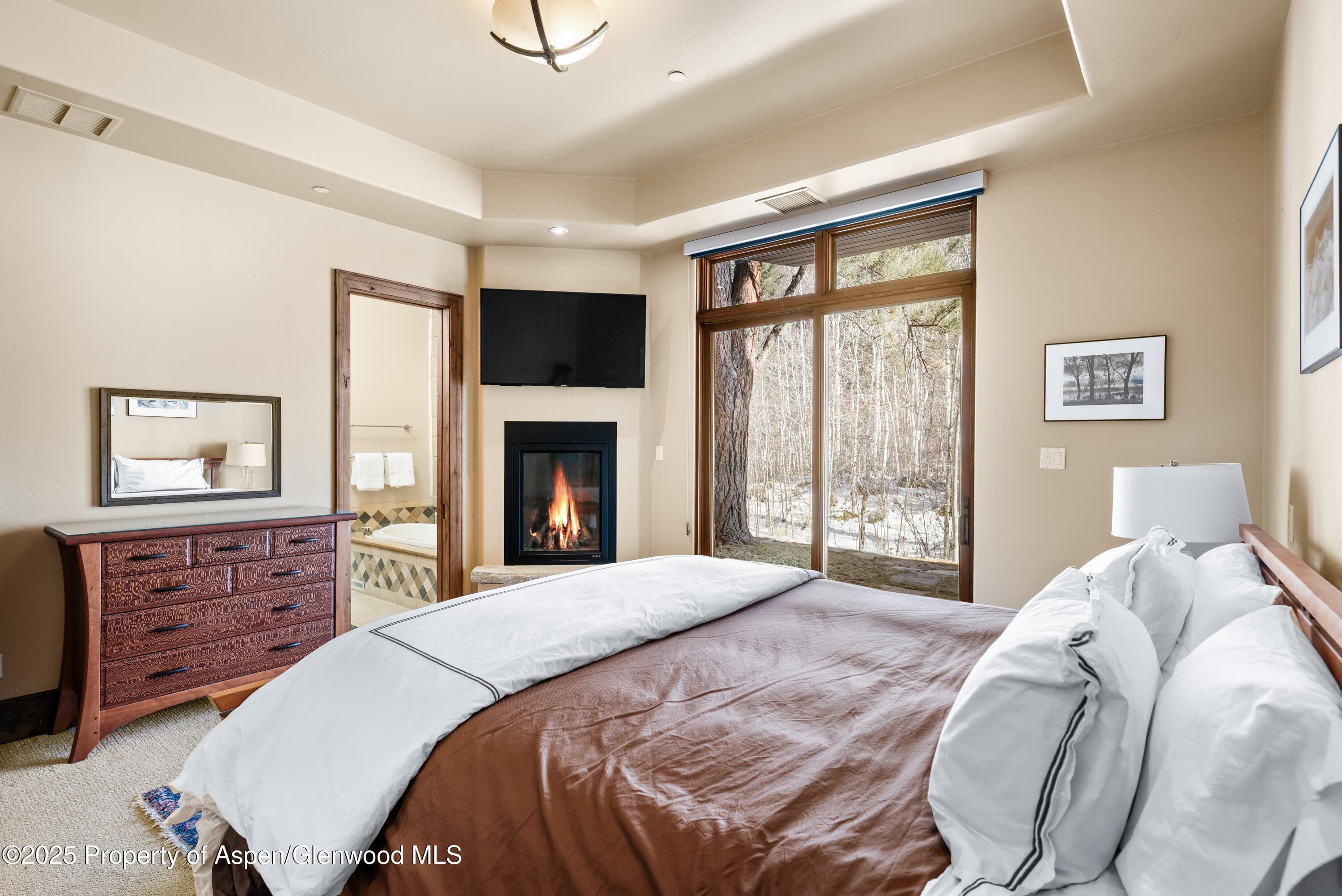 96 Mountain Laurel Court A, Aspen, CO 81611 - Photo 15