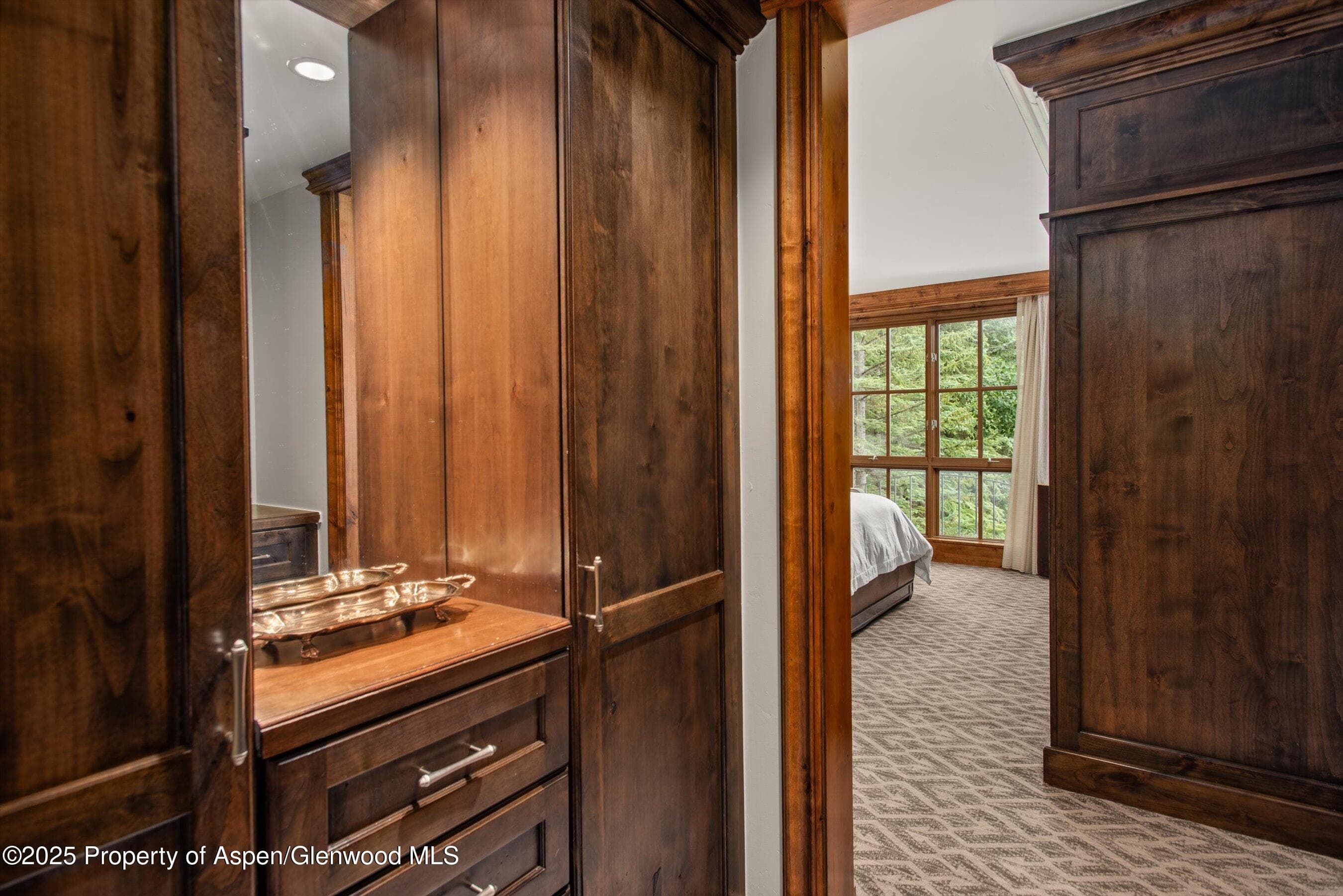315 E Dean Street B33-C4, Aspen, CO 81611 - Photo 11
