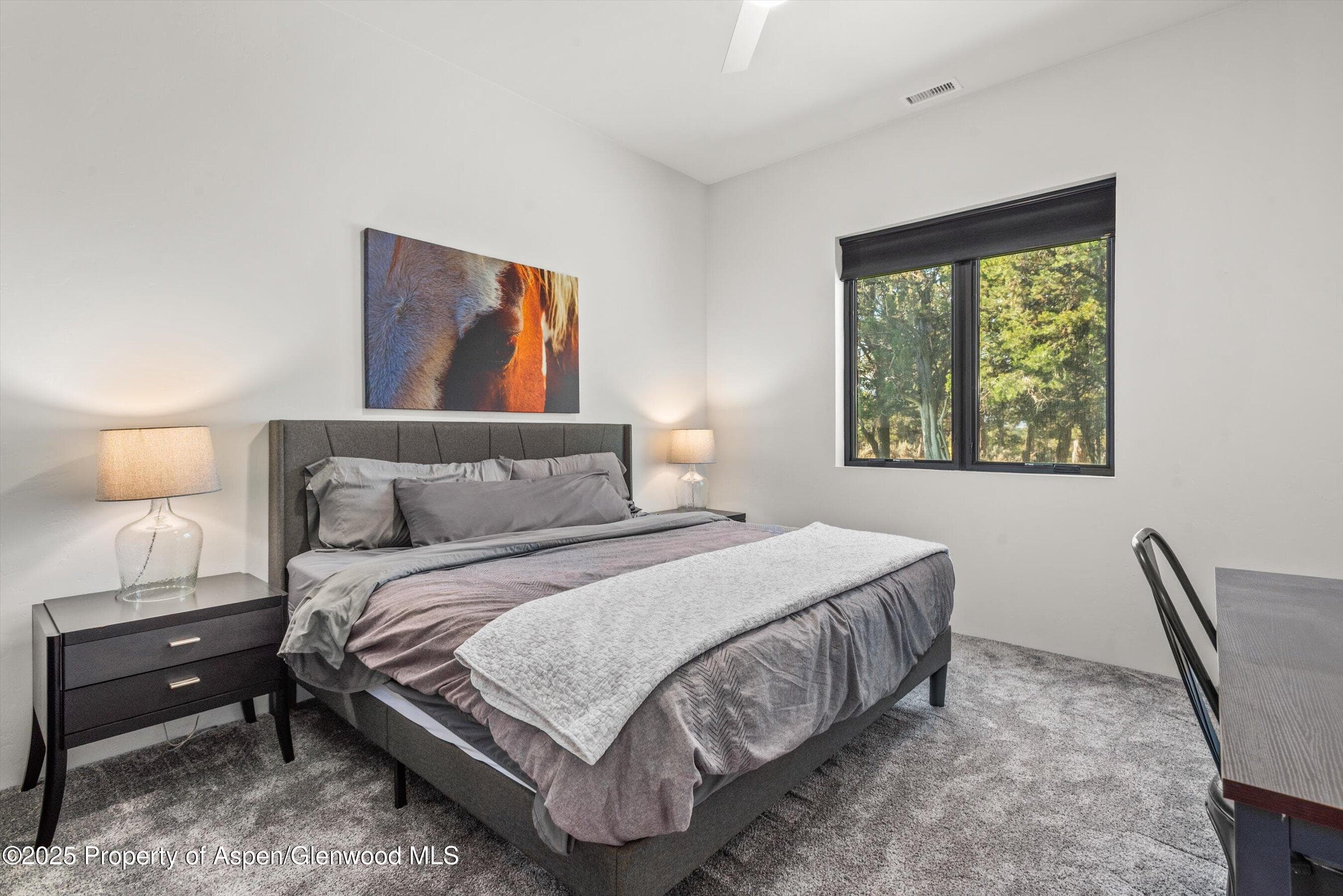 30 Sopris Lane, Carbondale, CO 81623 - Photo 34
