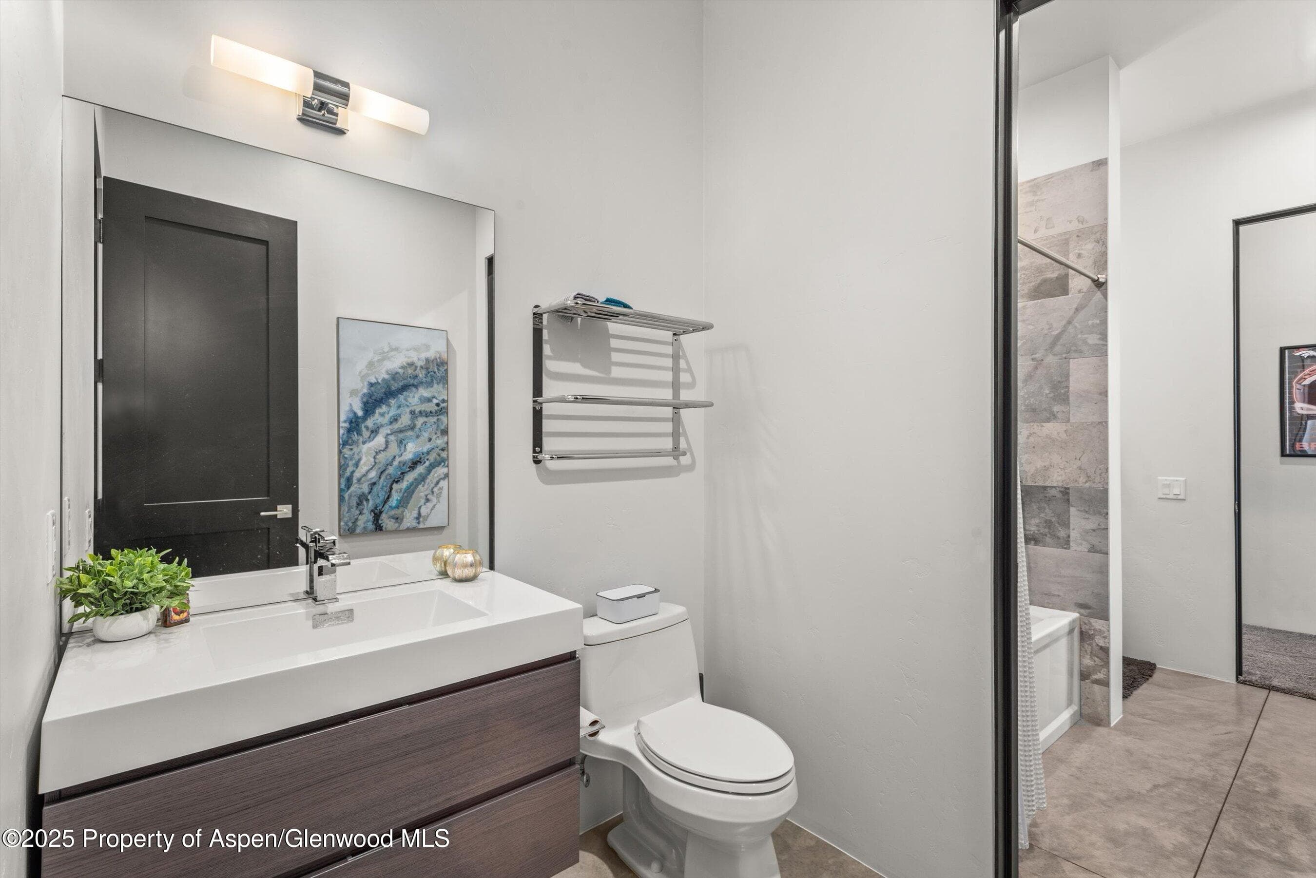 30 Sopris Lane, Carbondale, CO 81623 - Photo 35