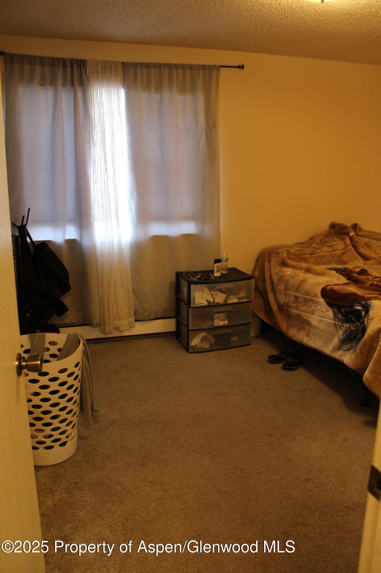 2404 West Avenue, Rifle, CO 81650 - Photo 7