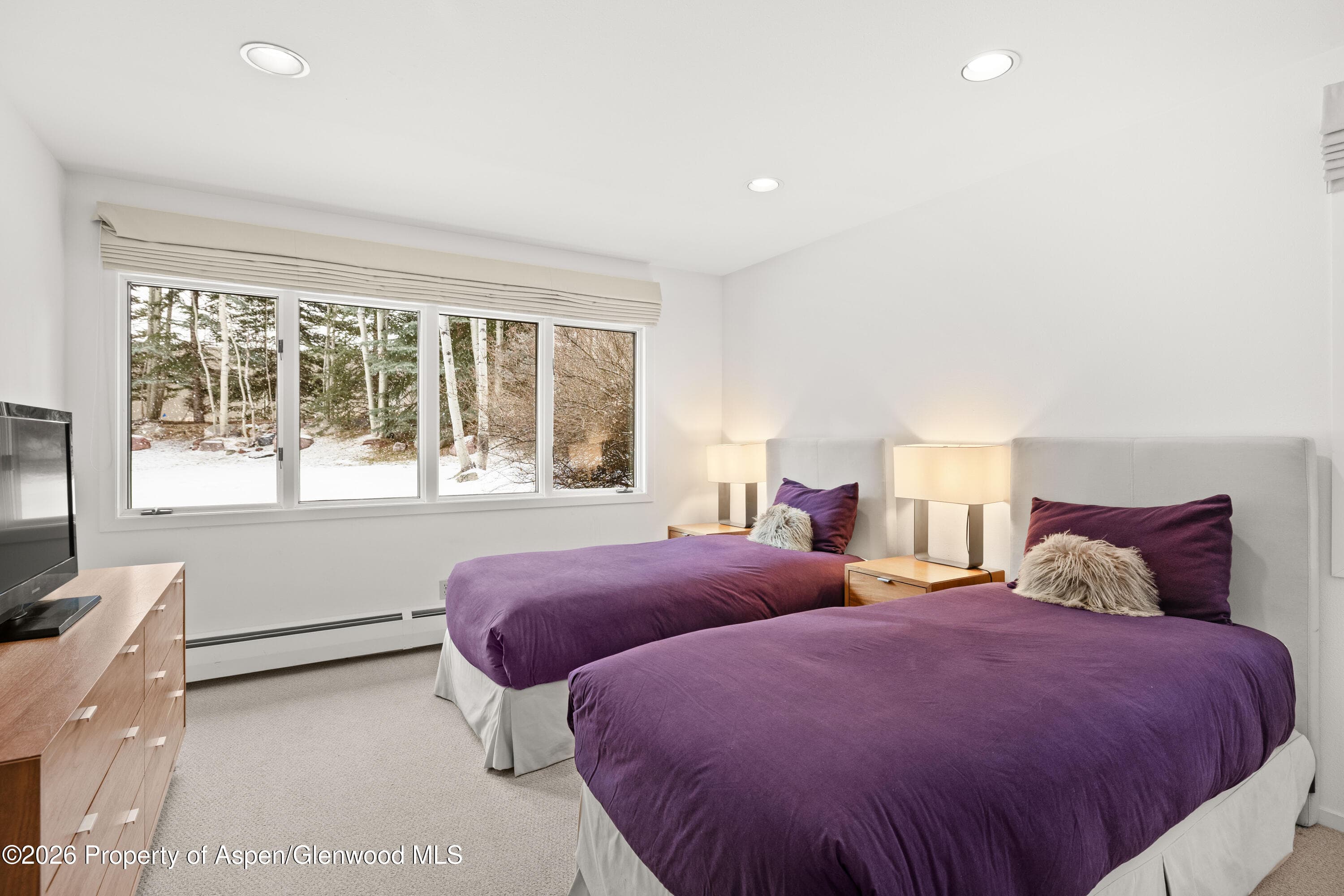 55 Overlook Drive, Aspen, CO 81611 - Photo 9