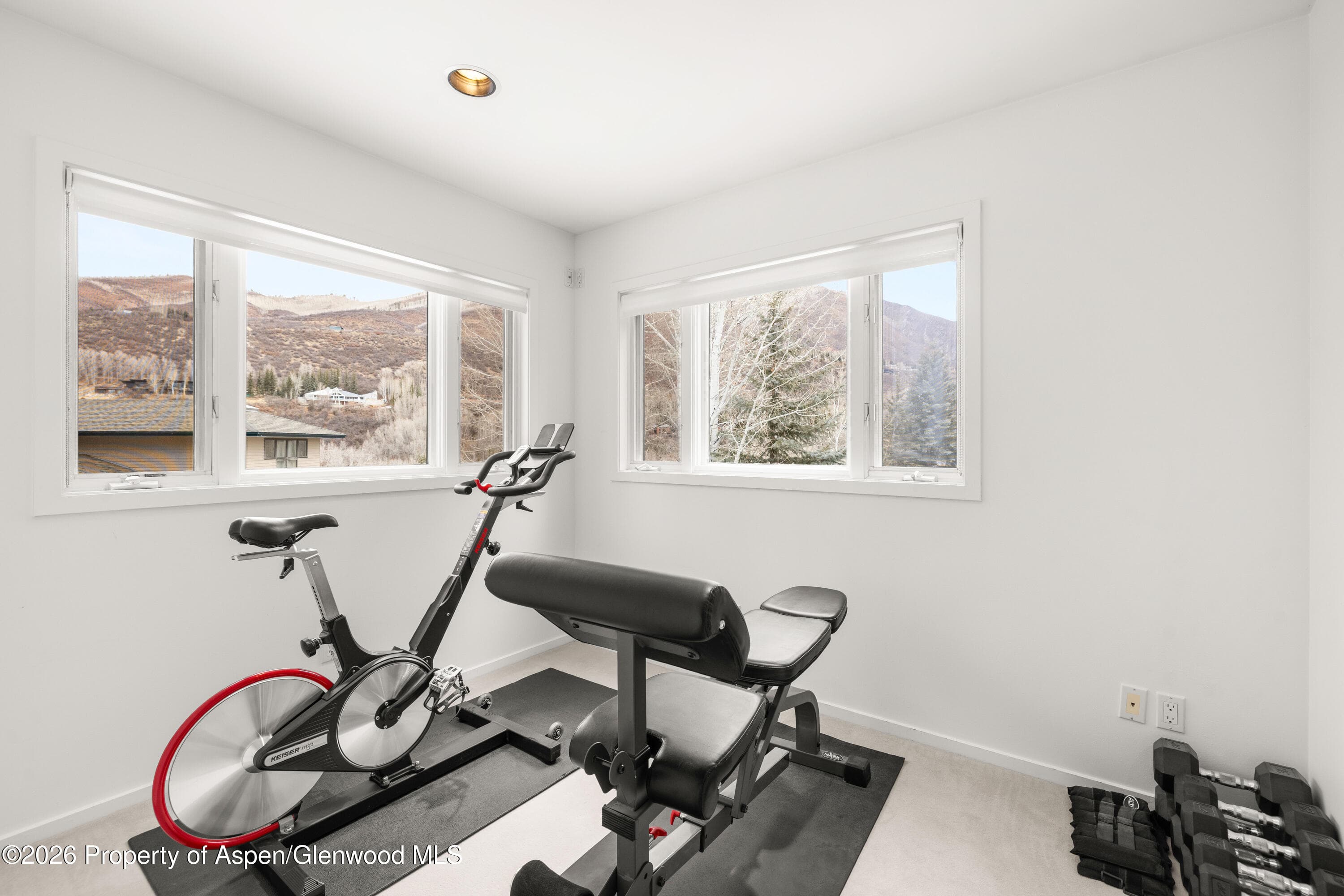 55 Overlook Drive, Aspen, CO 81611 - Photo 15
