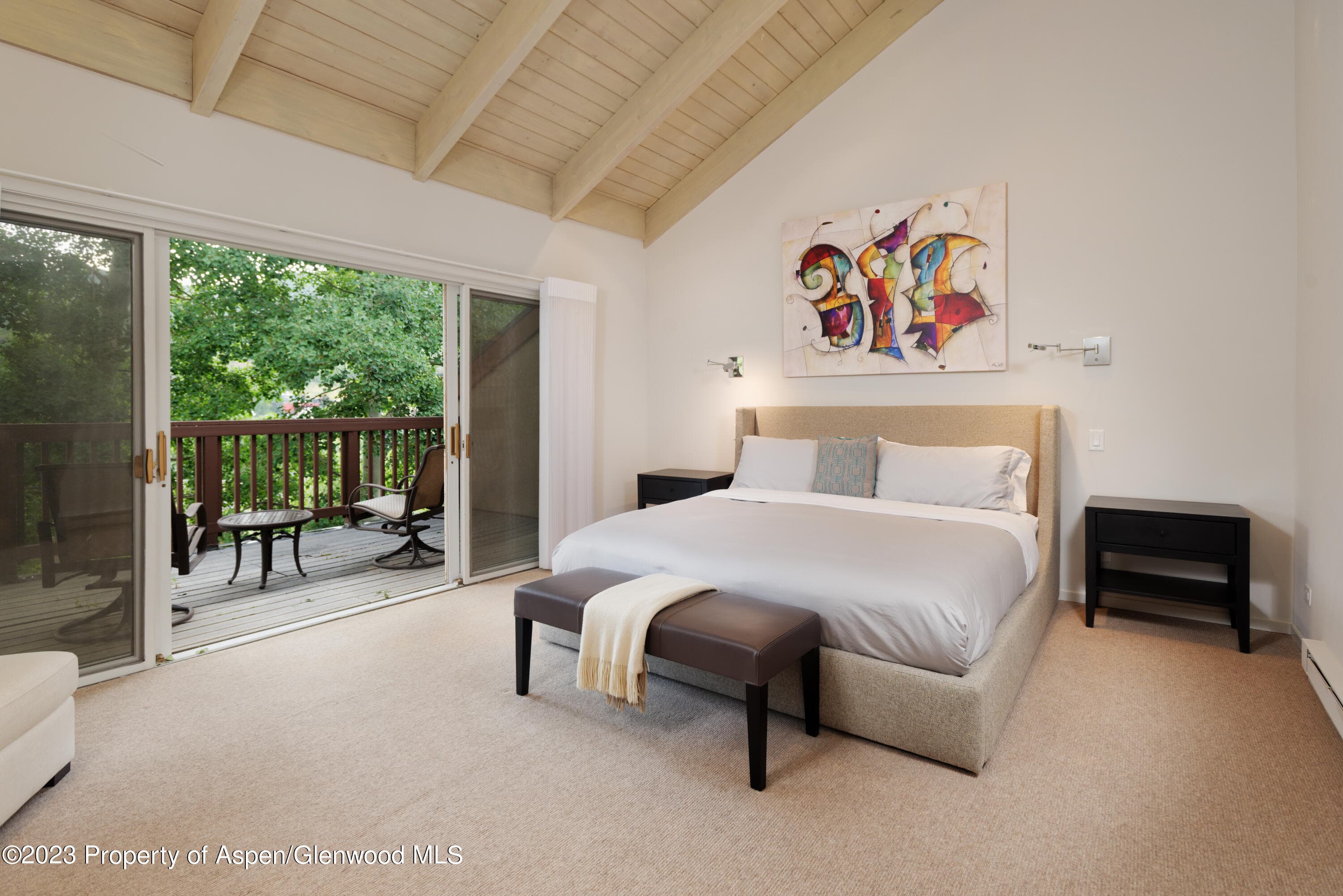 810 Ridge Road #6, Snowmass Village, CO 81615 - Photo 11