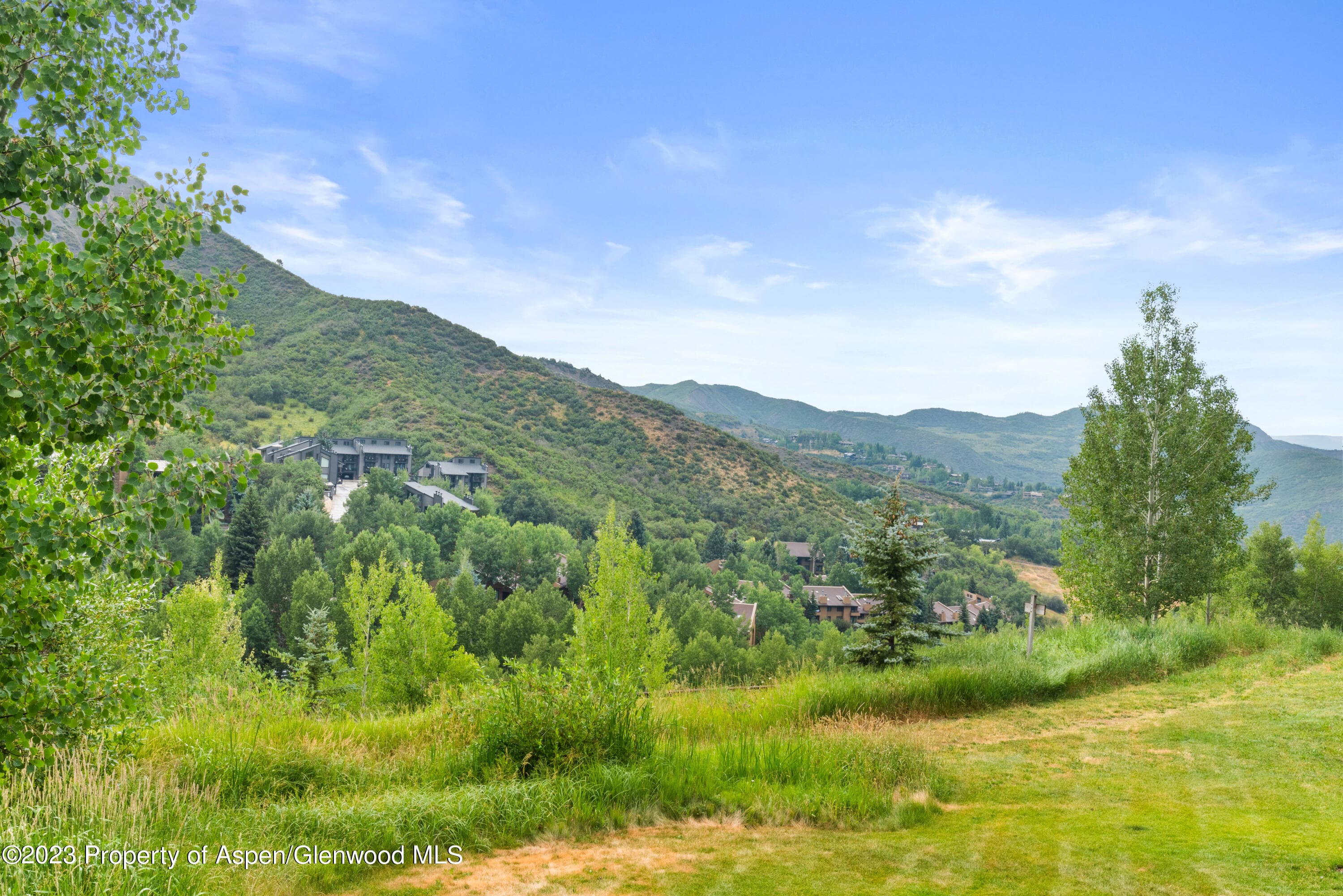 810 Ridge Road #6, Snowmass Village, CO 81615 - Photo 27