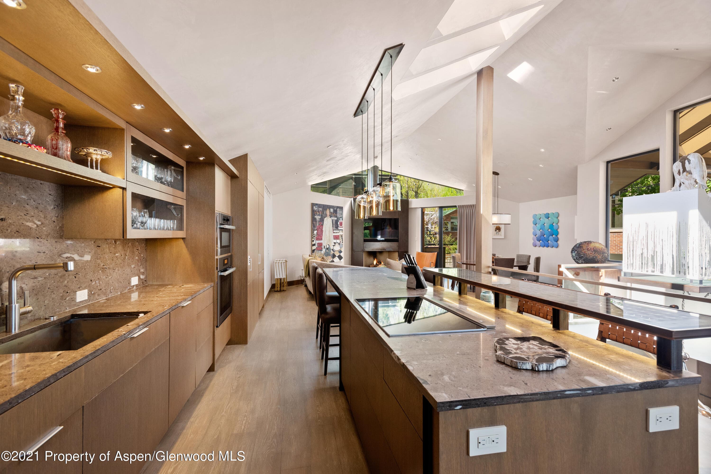 727 E Hopkins Avenue A, Aspen, CO 81611 - Photo 6