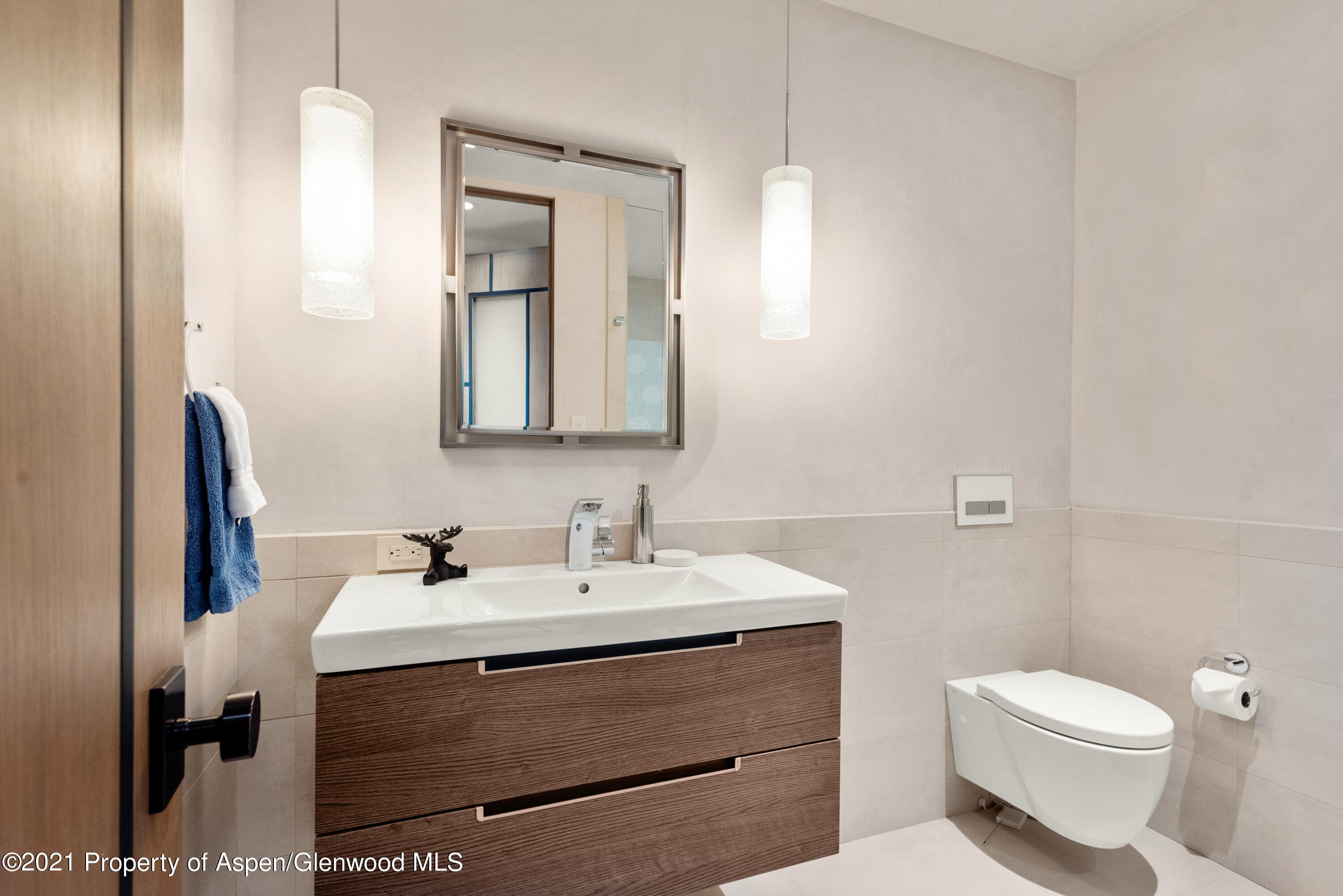 727 E Hopkins Avenue A, Aspen, CO 81611 - Photo 15