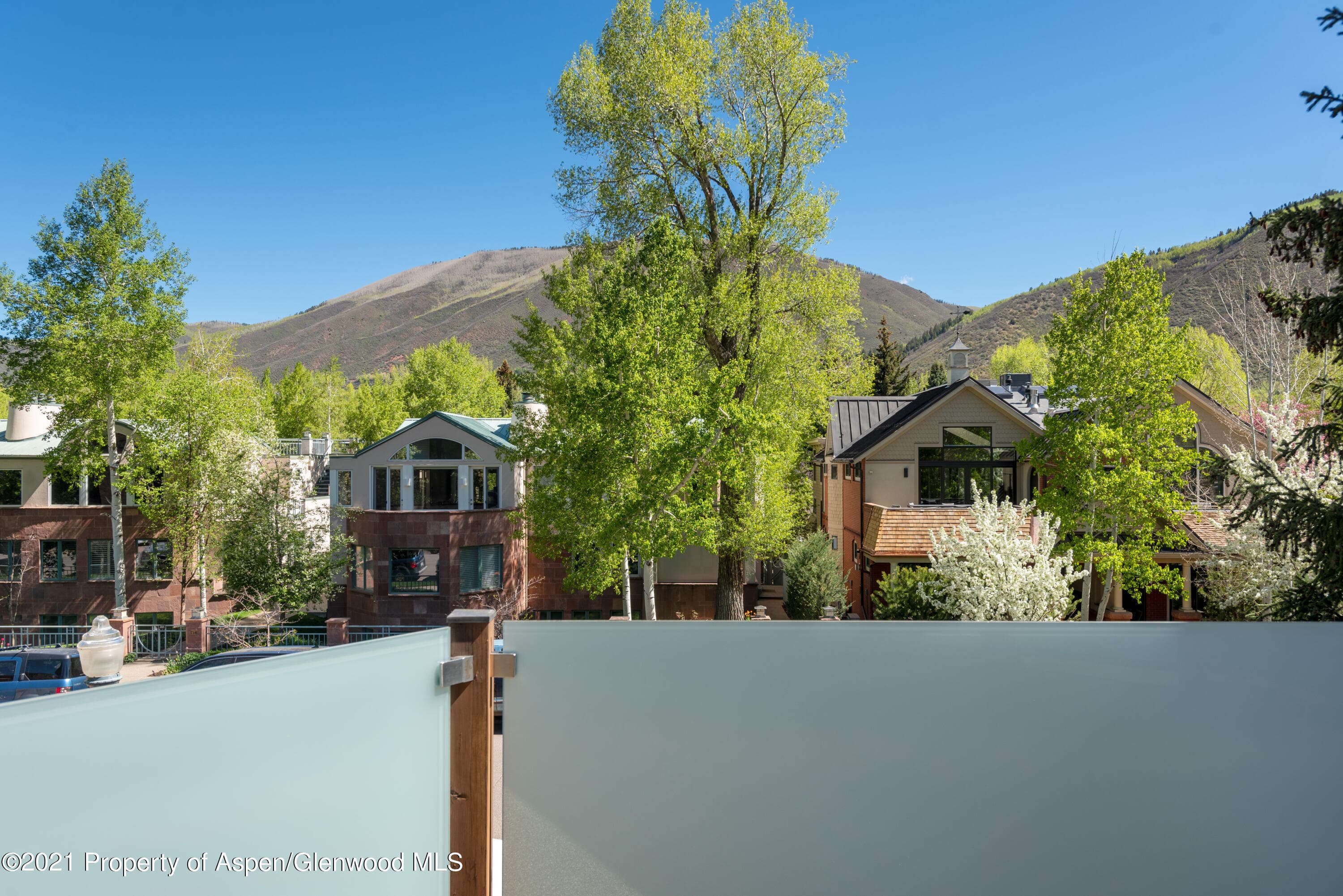 727 E Hopkins Avenue A, Aspen, CO 81611 - Photo 35