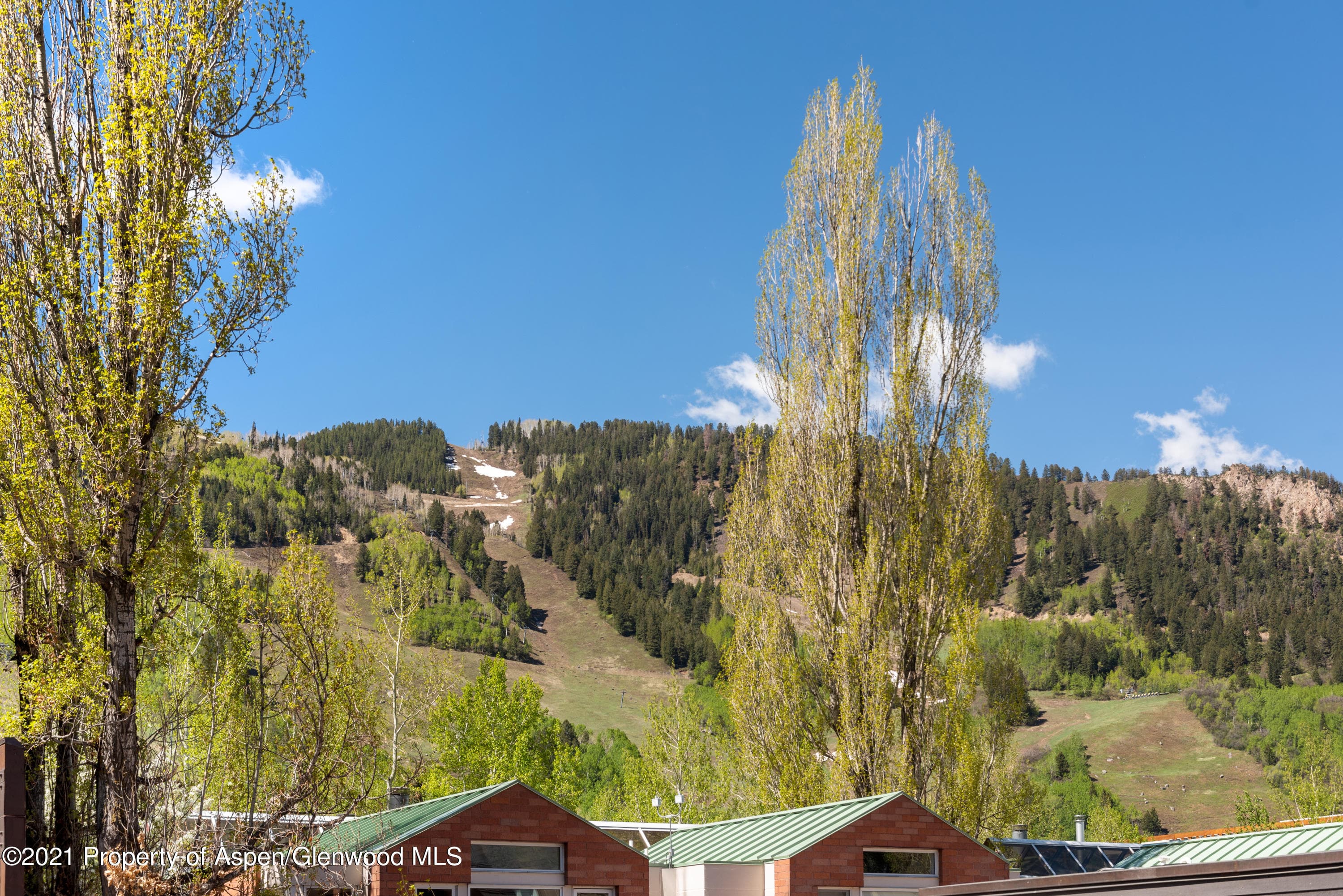 727 E Hopkins Avenue A, Aspen, CO 81611 - Photo 36