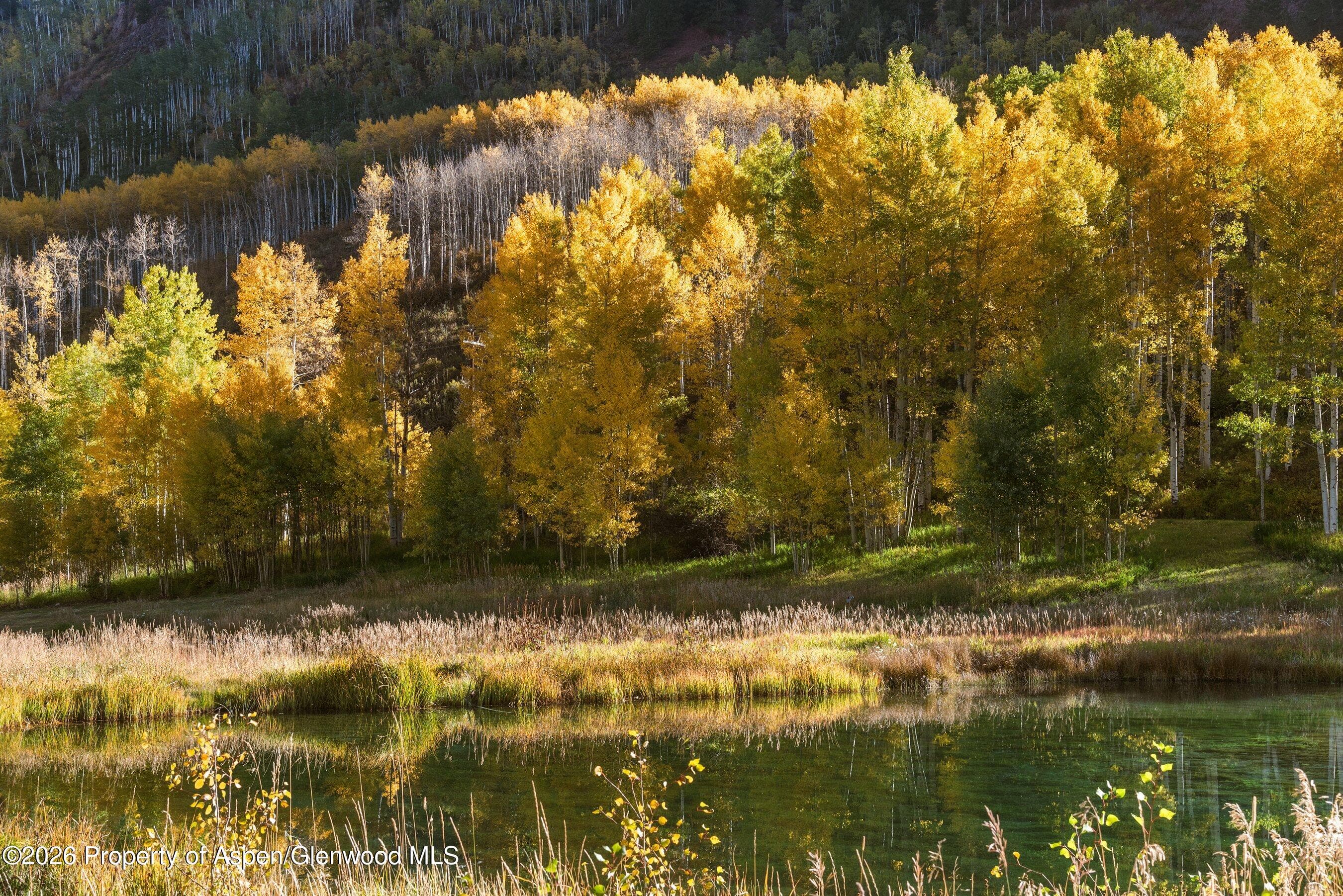 5387 Castle Creek Road, Aspen, CO 81611 - Photo 19