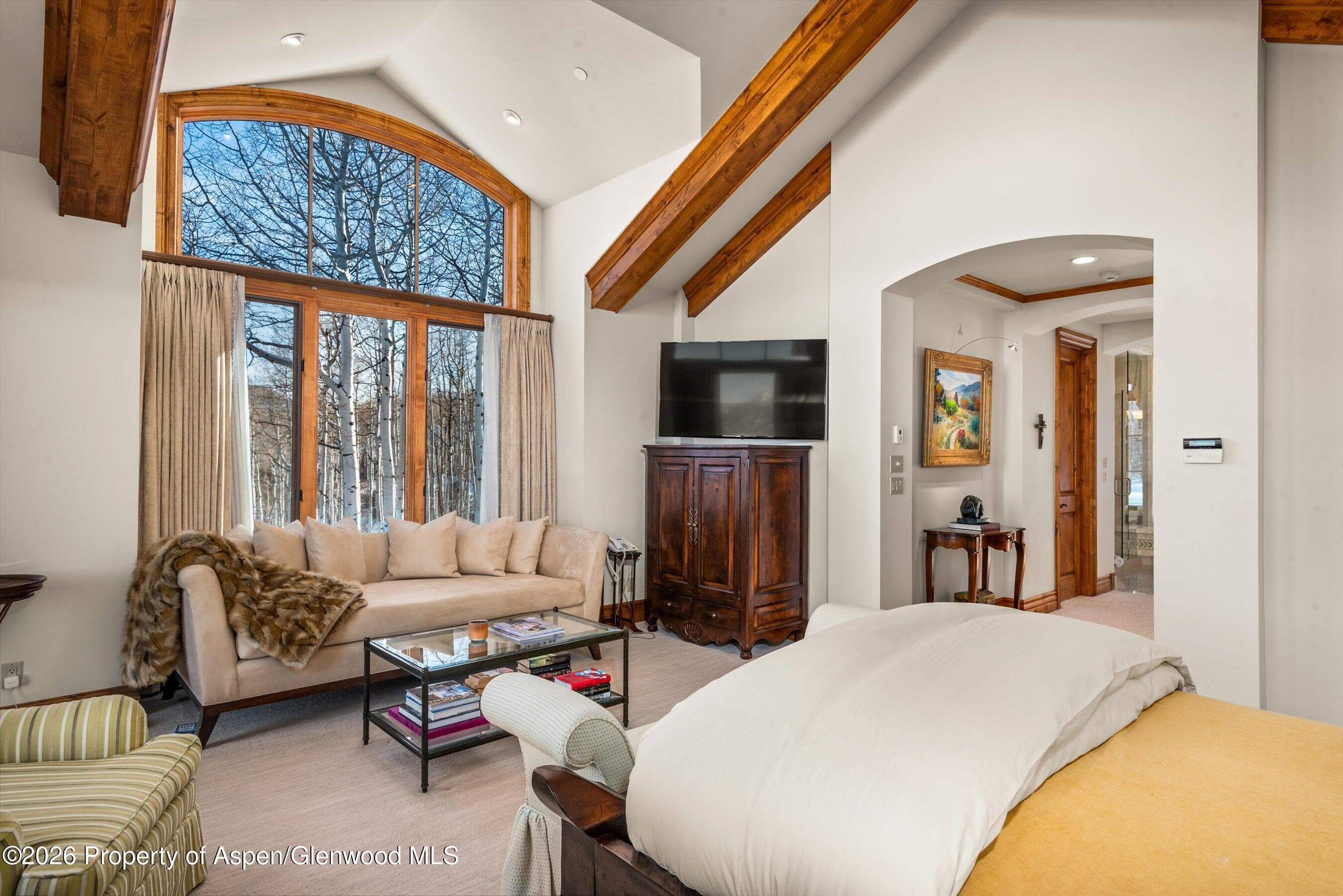 971 Cluny Road, Aspen, CO 81611 - Photo 18