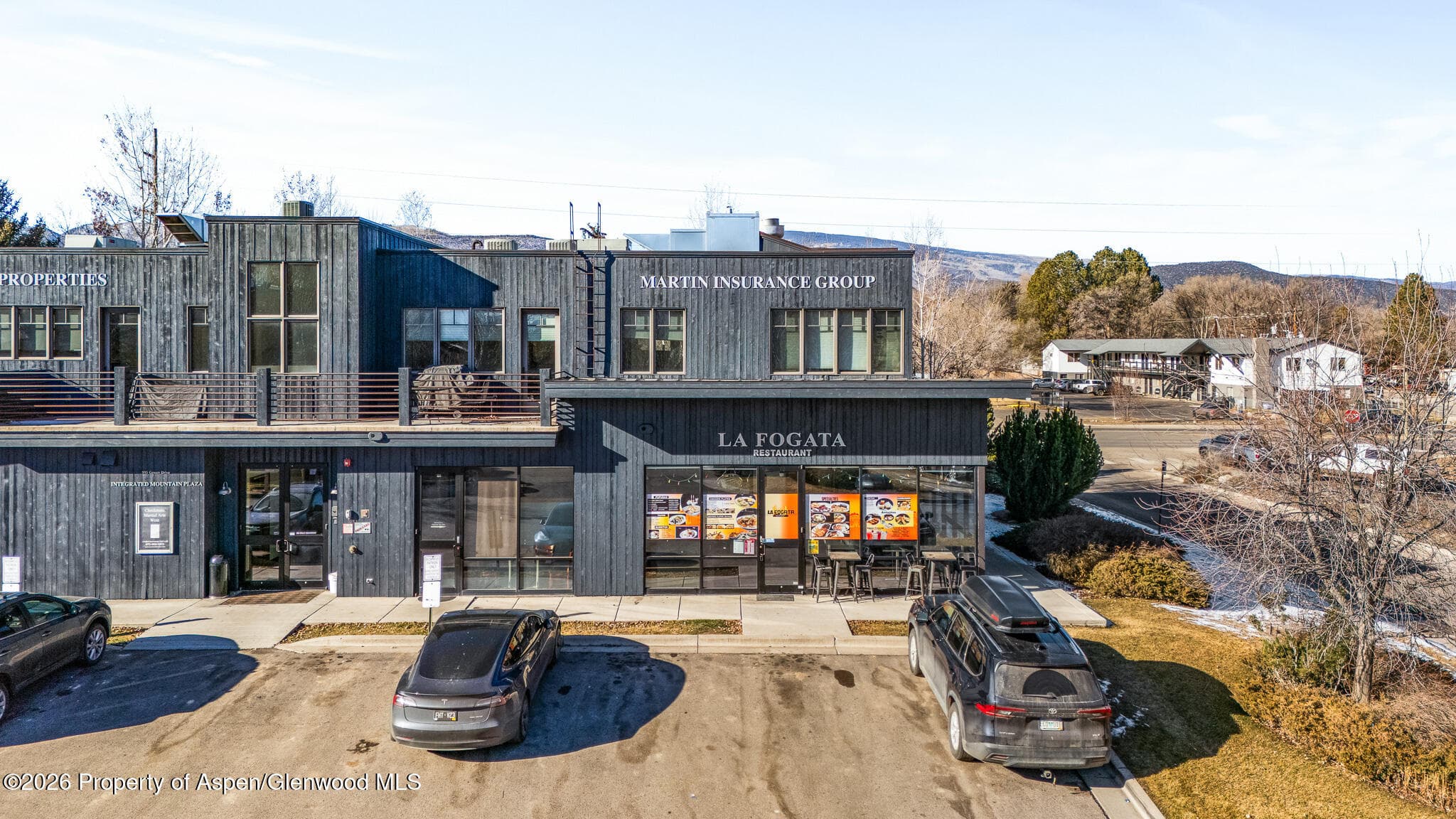 995 Cowen Drive 101, Carbondale, CO 81623 - Photo 2