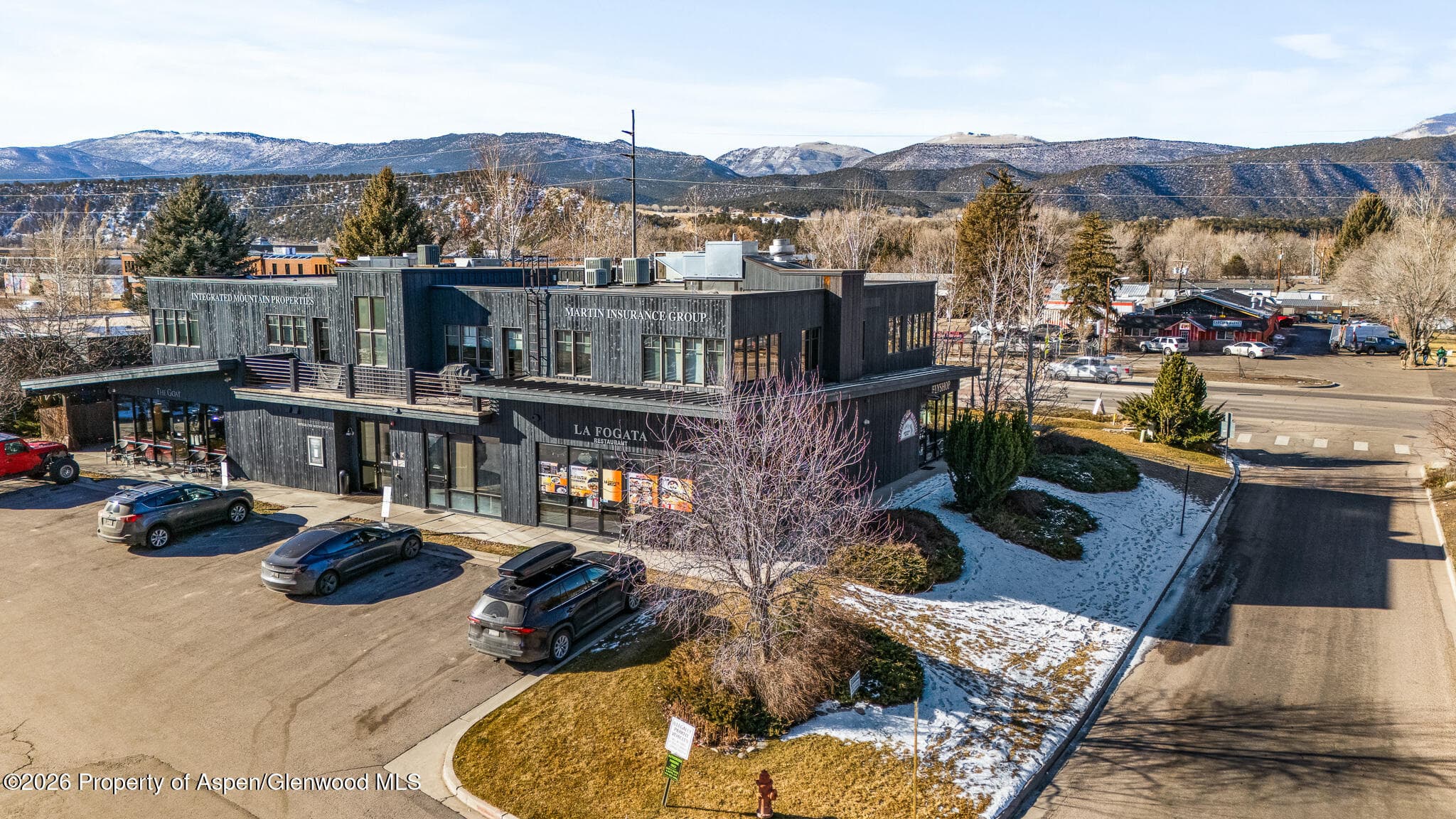 995 Cowen Drive 101, Carbondale, CO 81623 - Photo 4