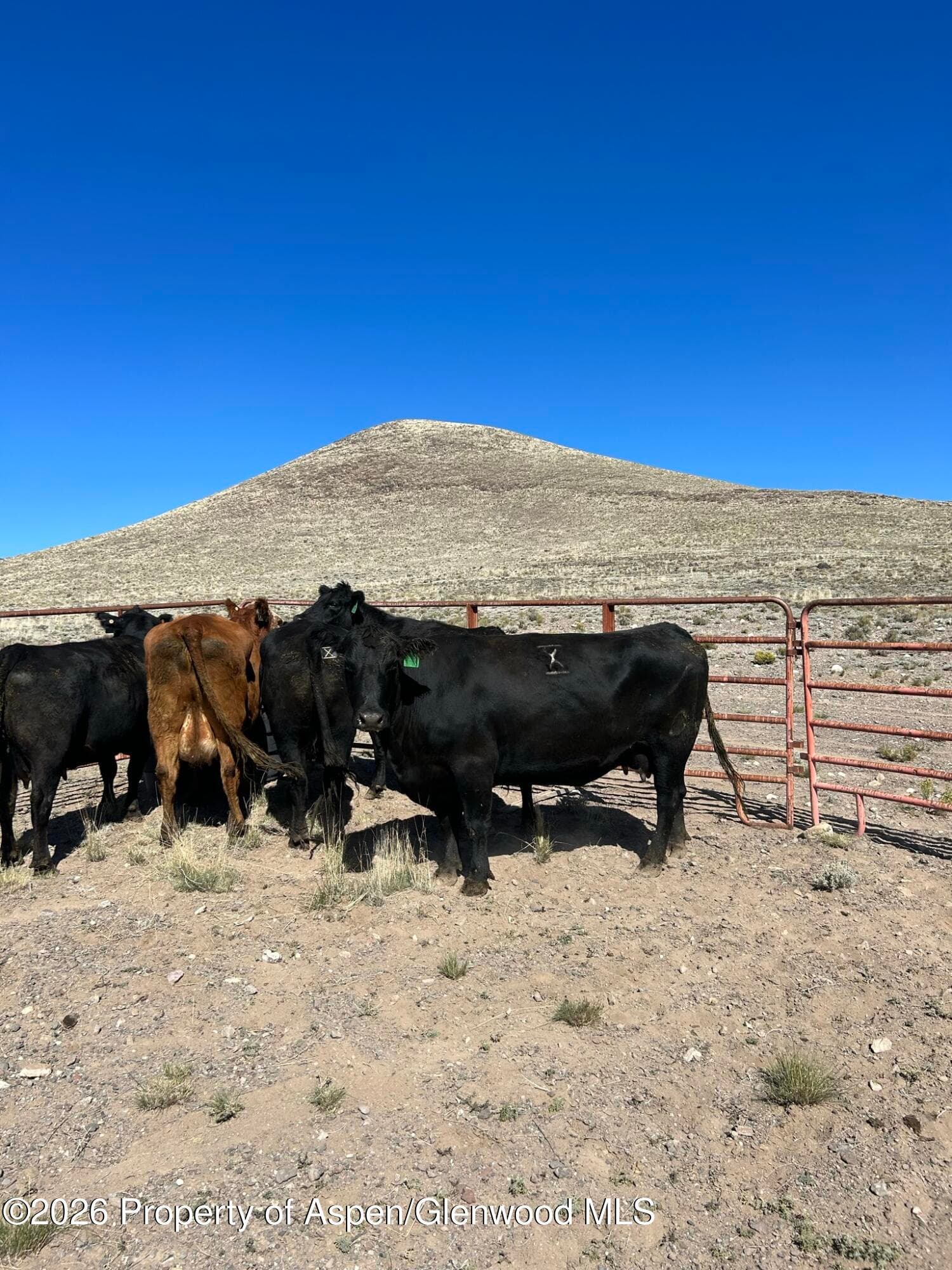 Tbd Costilla County Parcel #400022, Blanca, CO 81123 - Photo 2
