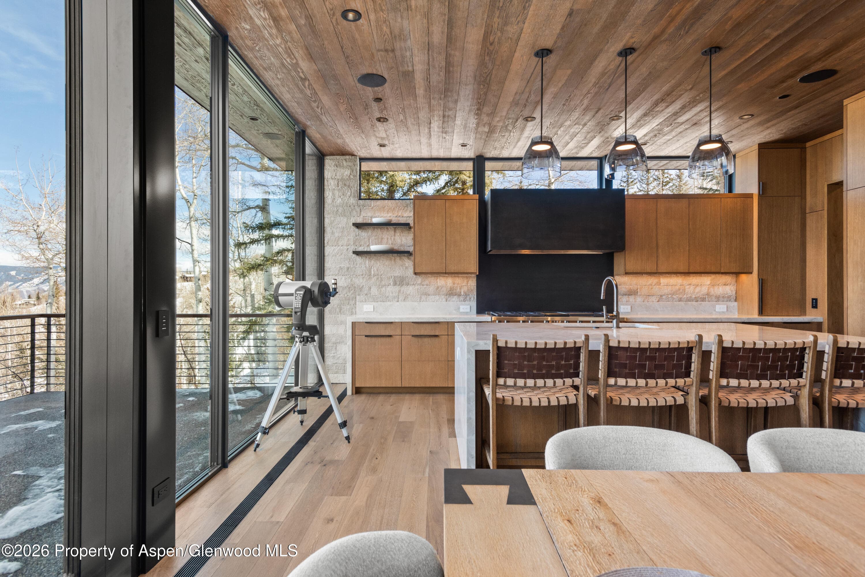 99 Forest Lane, Snowmass Village, CO 81615 - Photo 4