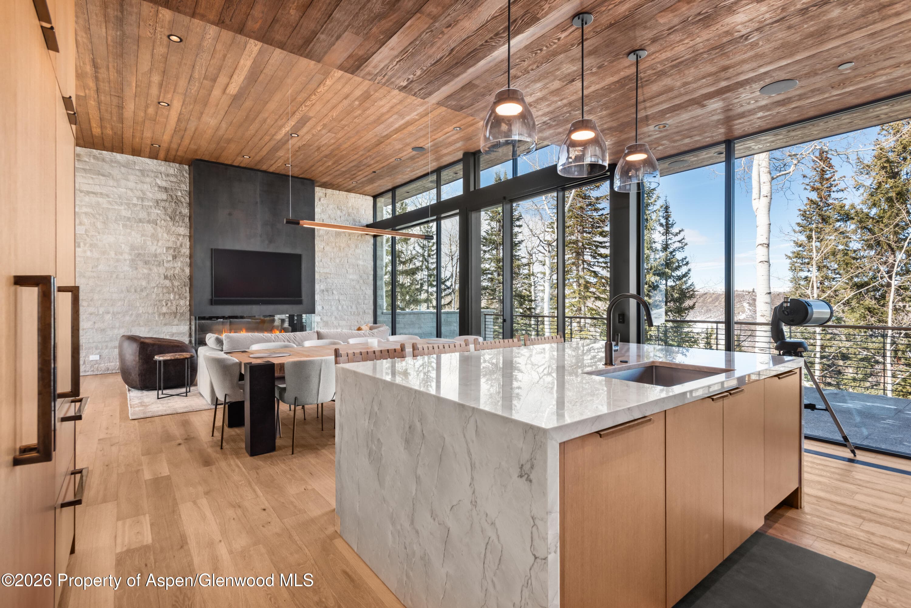 99 Forest Lane, Snowmass Village, CO 81615 - Photo 6
