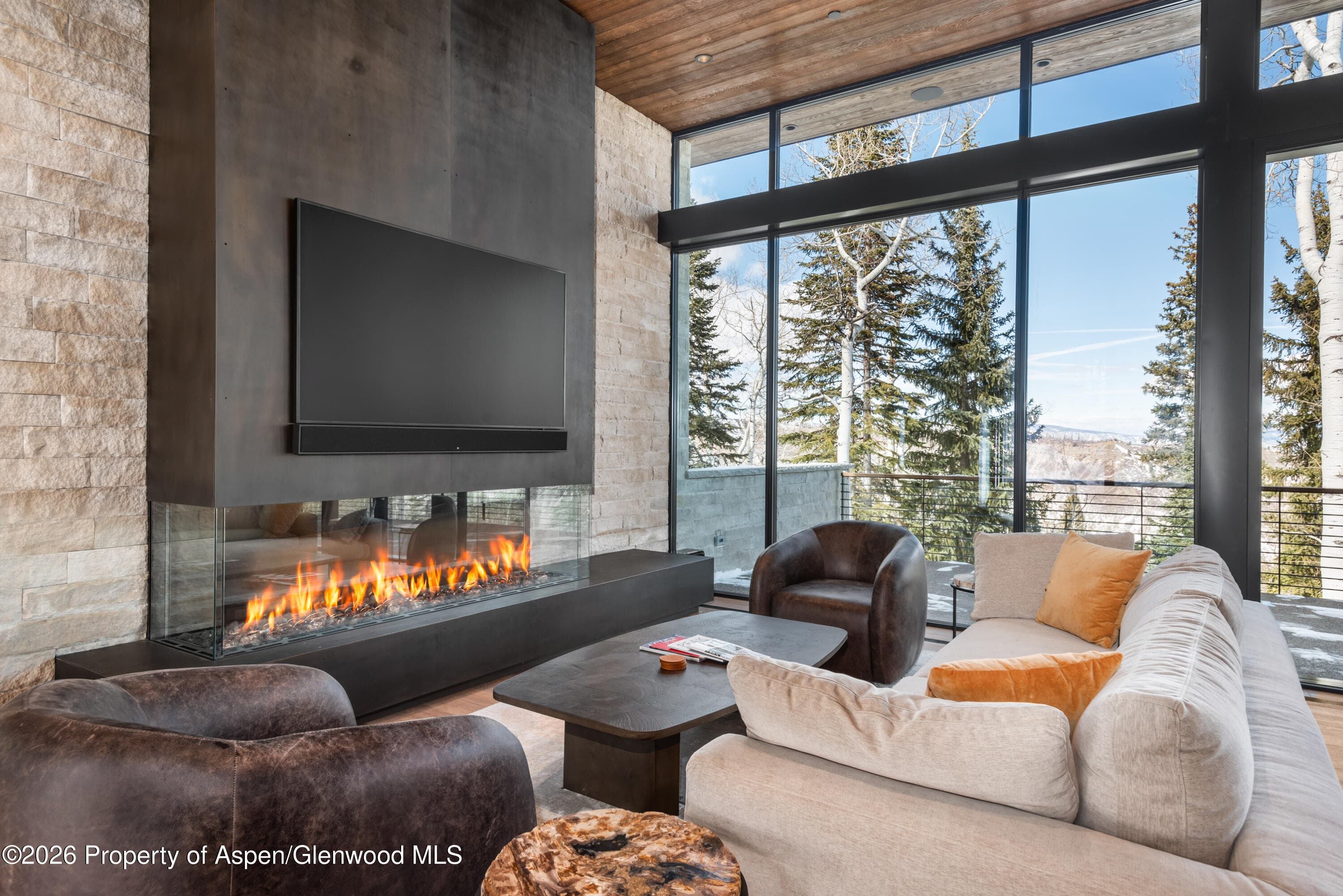 99 Forest Lane, Snowmass Village, CO 81615 - Photo 8