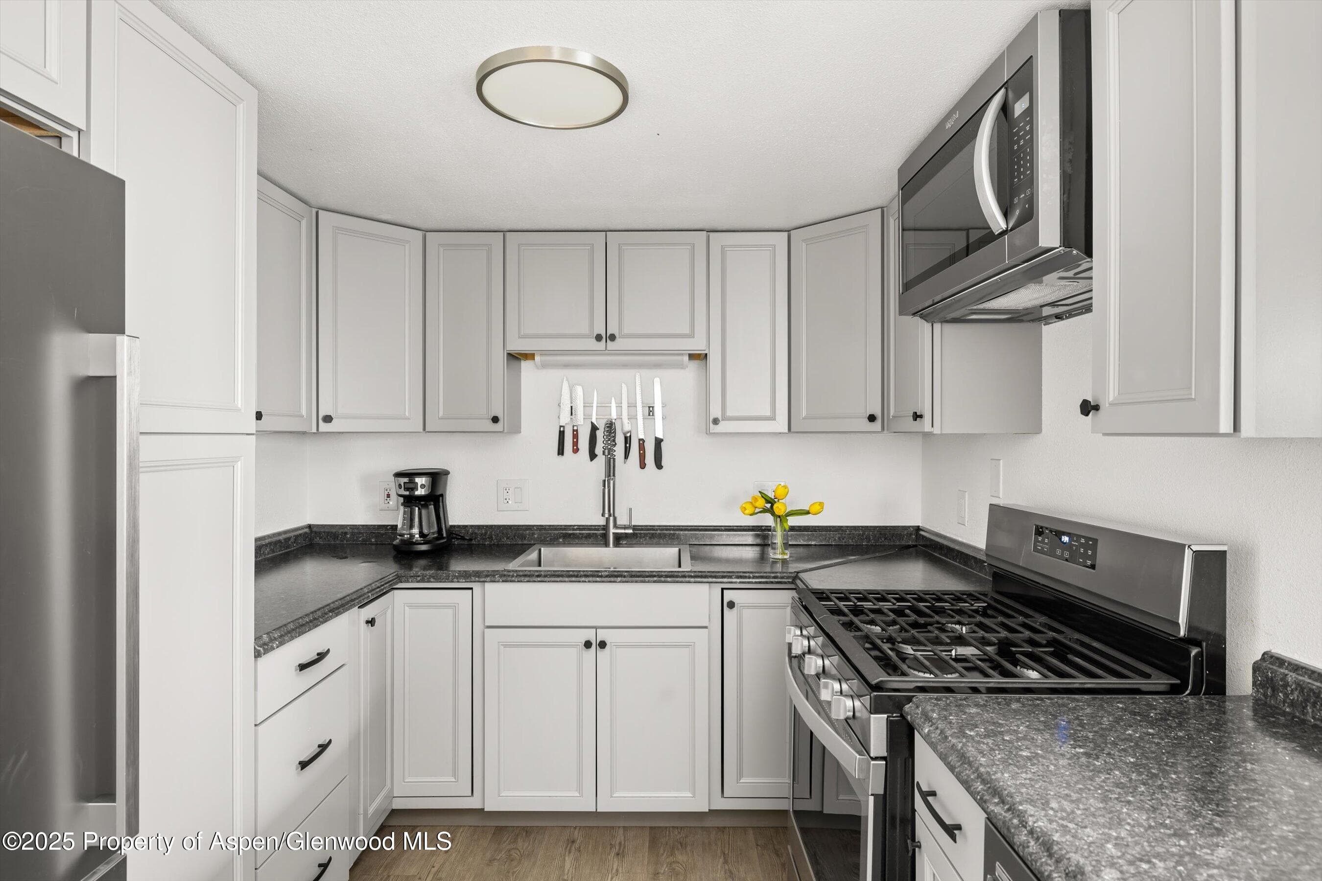 156.5 Midland Avenue, Basalt, CO 81621 - Photo 4