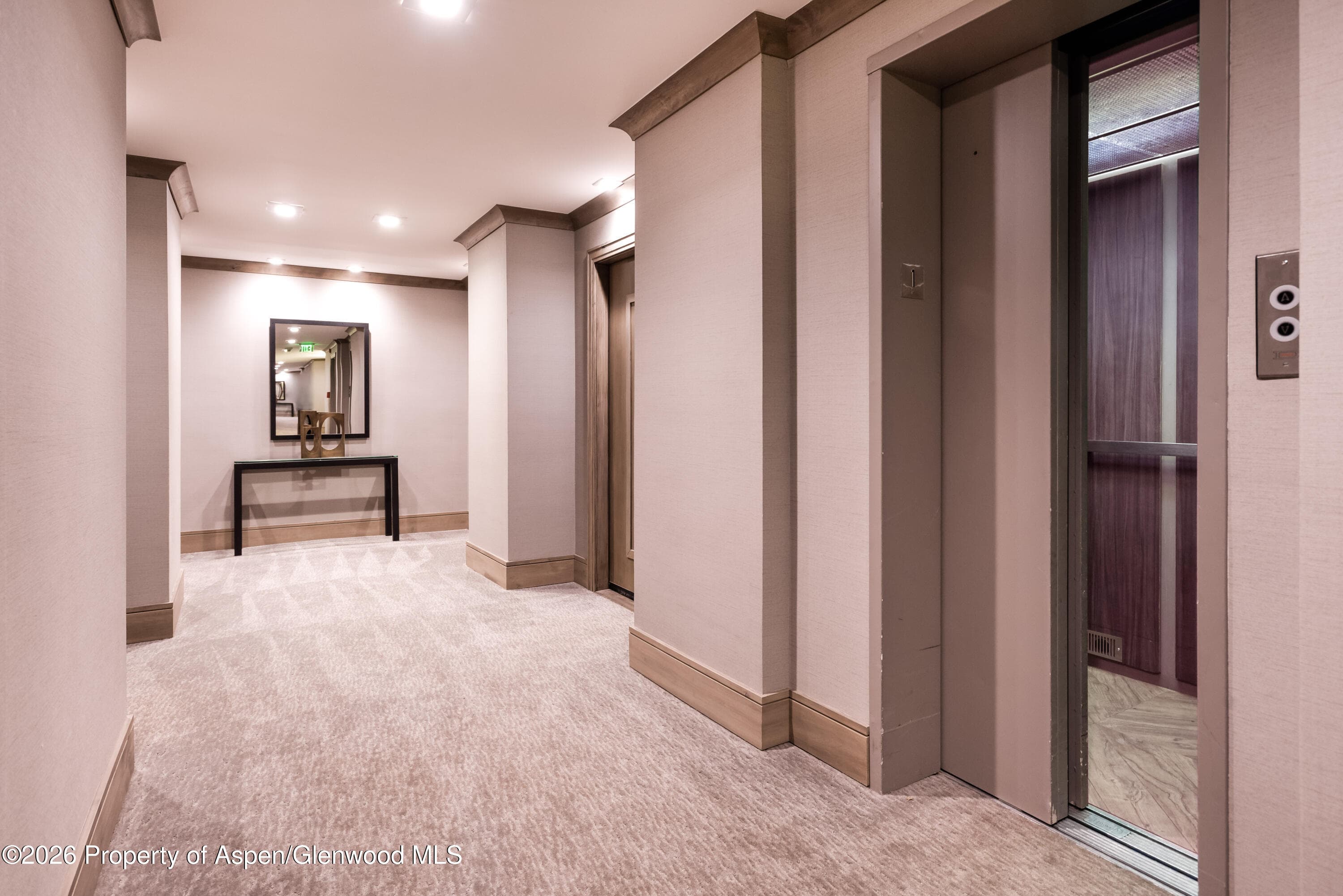 205 E Durant Avenue 1-B, Aspen, CO 81611 - Photo 13