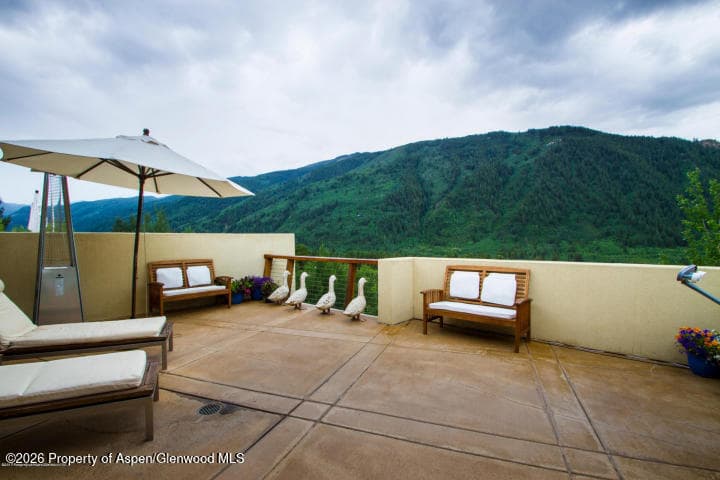 250 Mountain Laurel Drive A, Aspen, CO 81611 - Photo 14